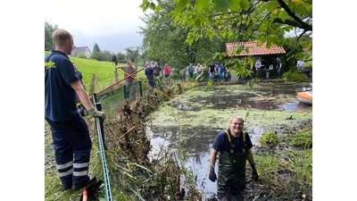 Aha: So sieht also der Dorfteich aus (Foto: ste)