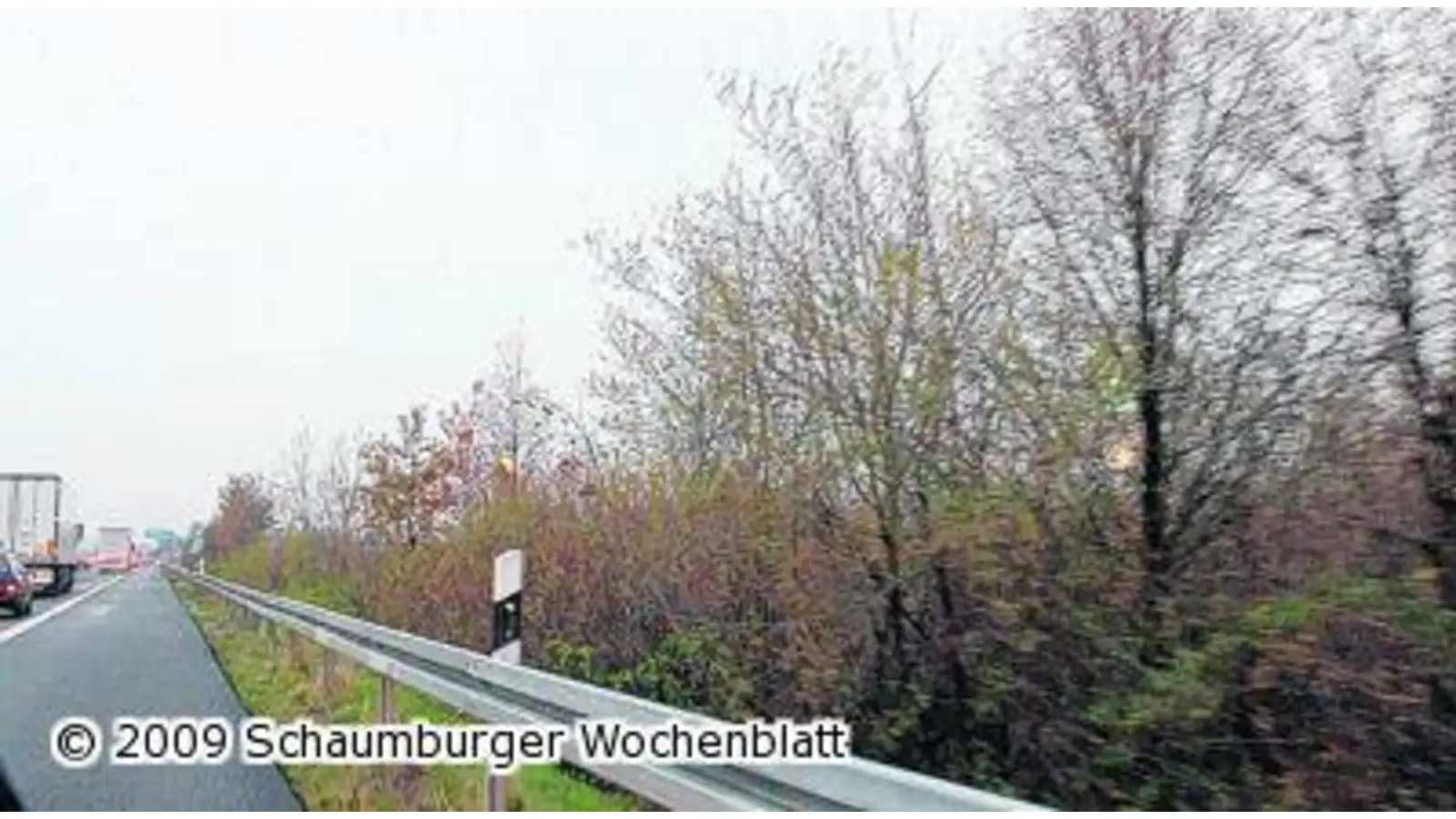 Straßenbegrünung an der Autobahn bleibt (Foto: red)