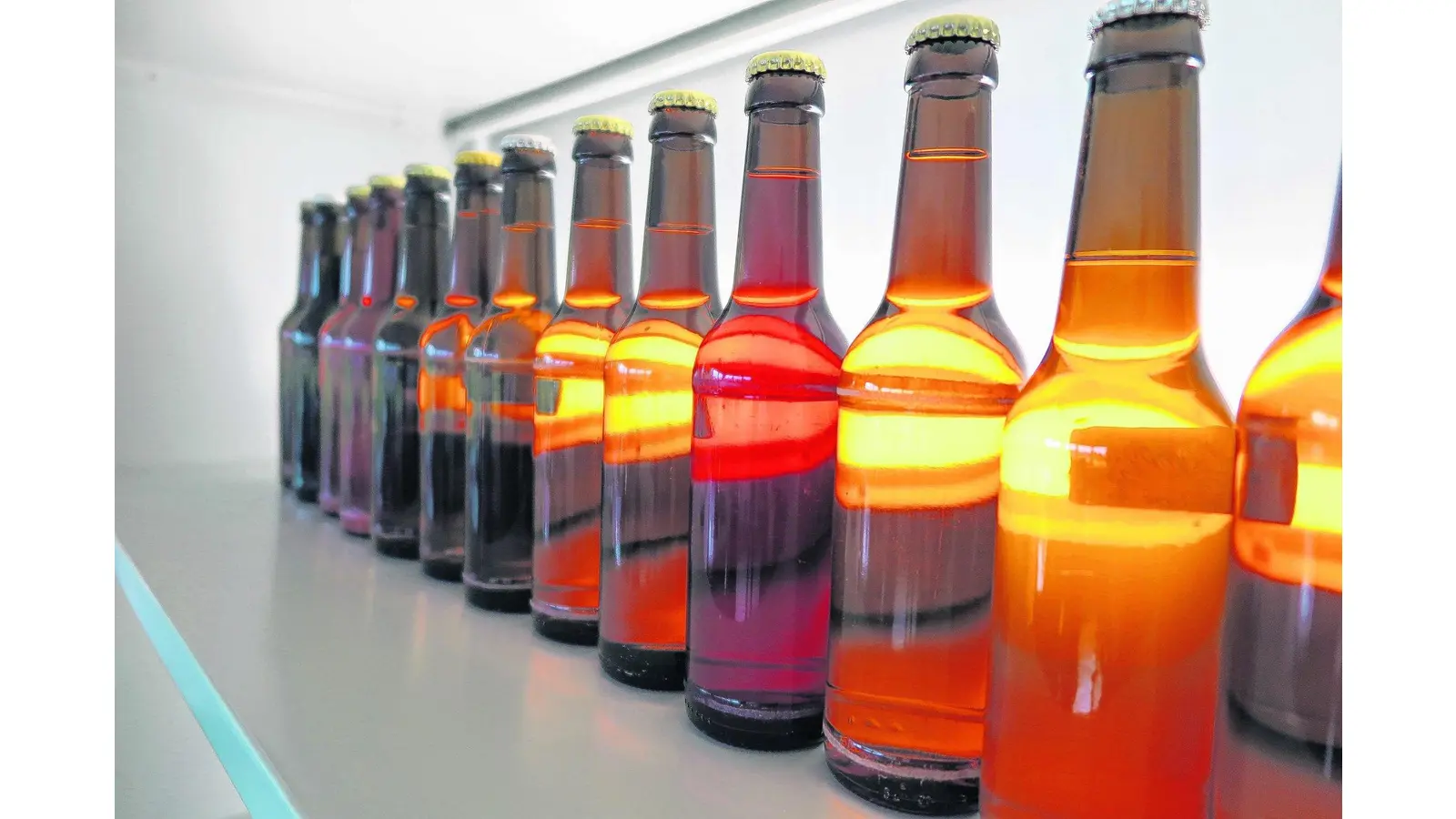 Neue Runde Schaumburger Bier (Foto: mh)