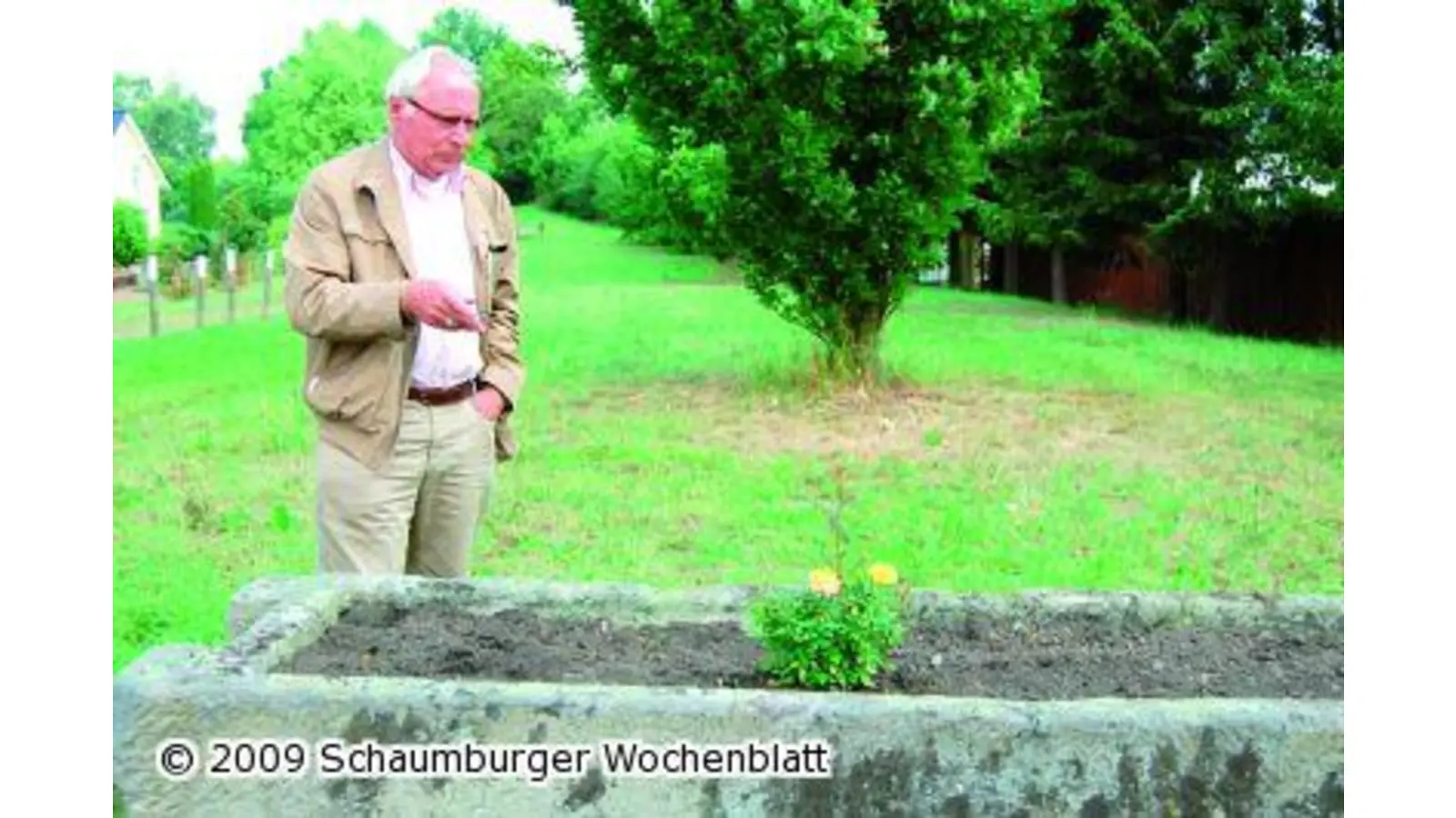 Rosendiebe in Ahnsen unterwegs (Foto: red)