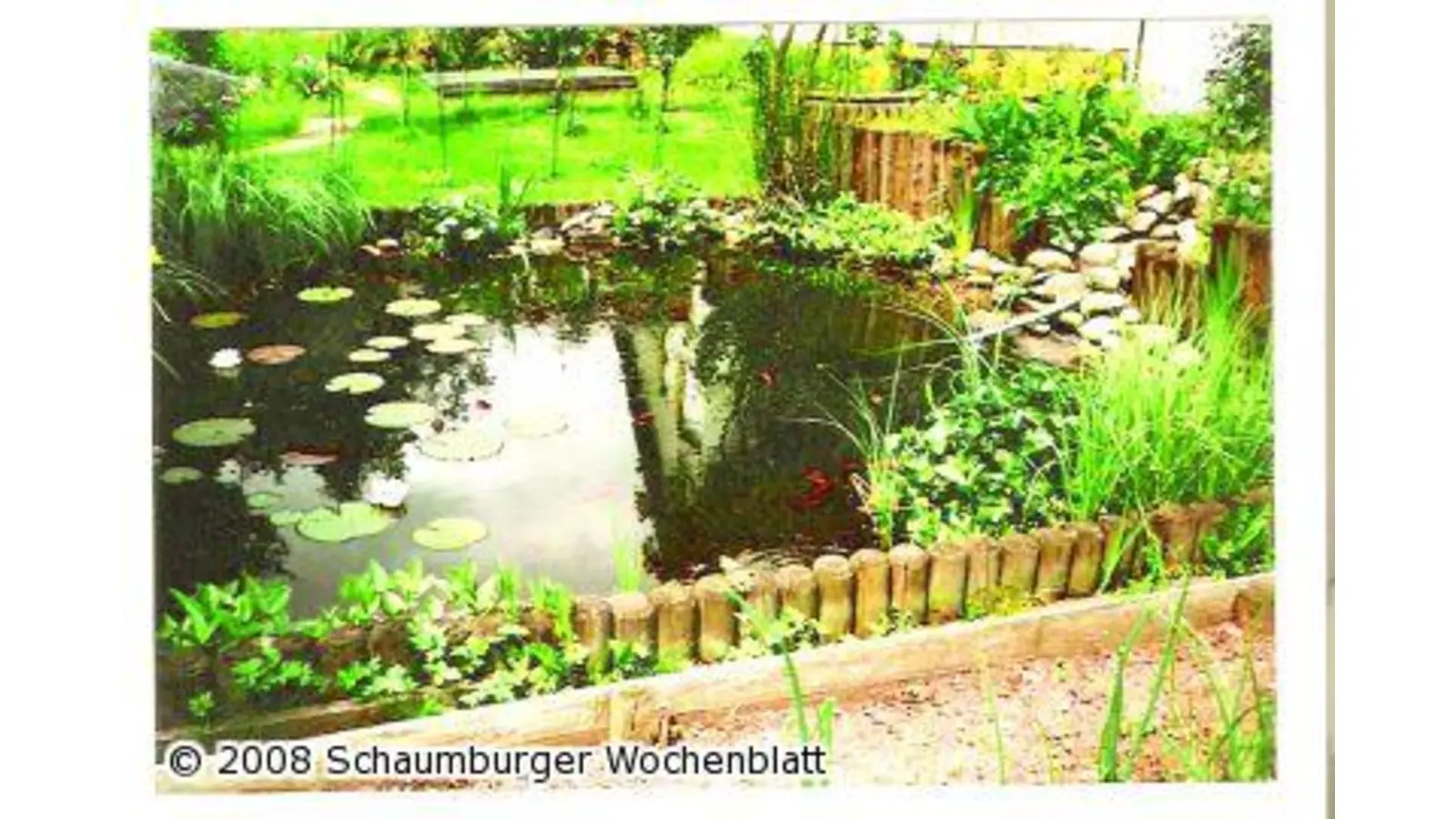 Teichschau der Aquaristen (Foto: red)