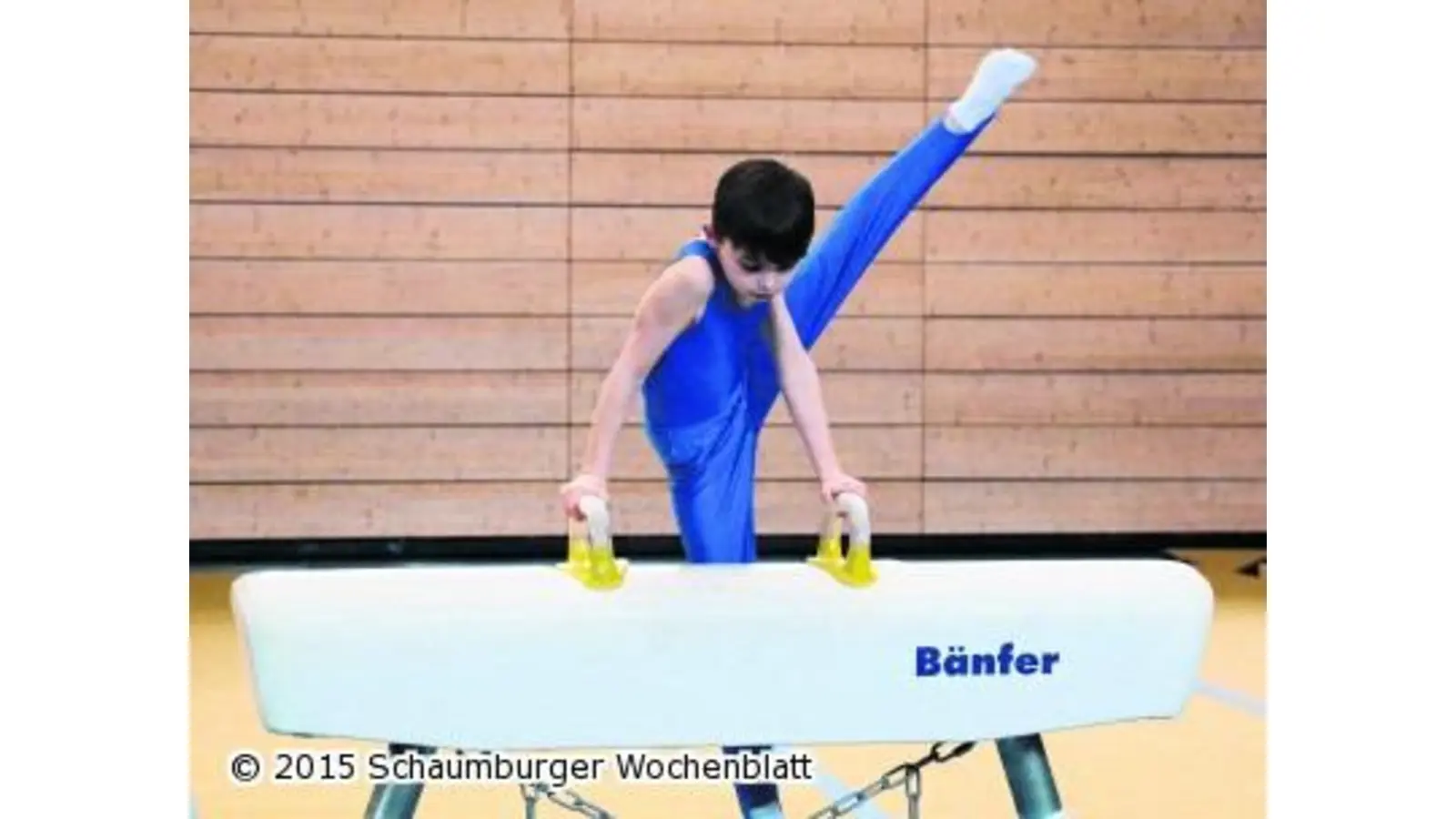 Junge Turner wieder erfolgreich (Foto: ste)