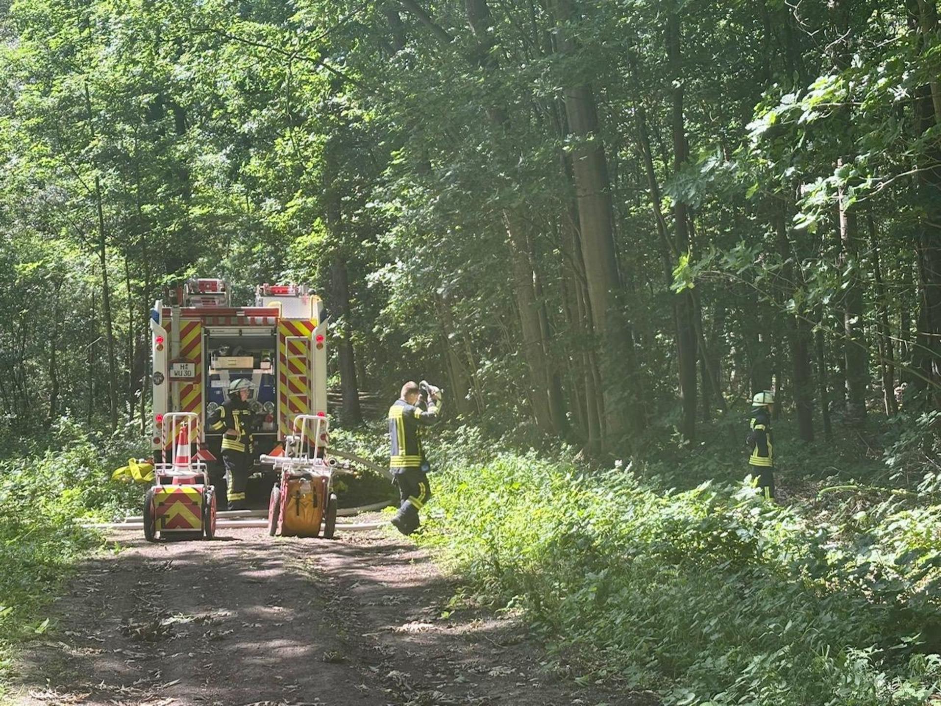 Im Hohen Holz: Die Feuerwehr im Einsatz. (Foto: Feuerwehr)