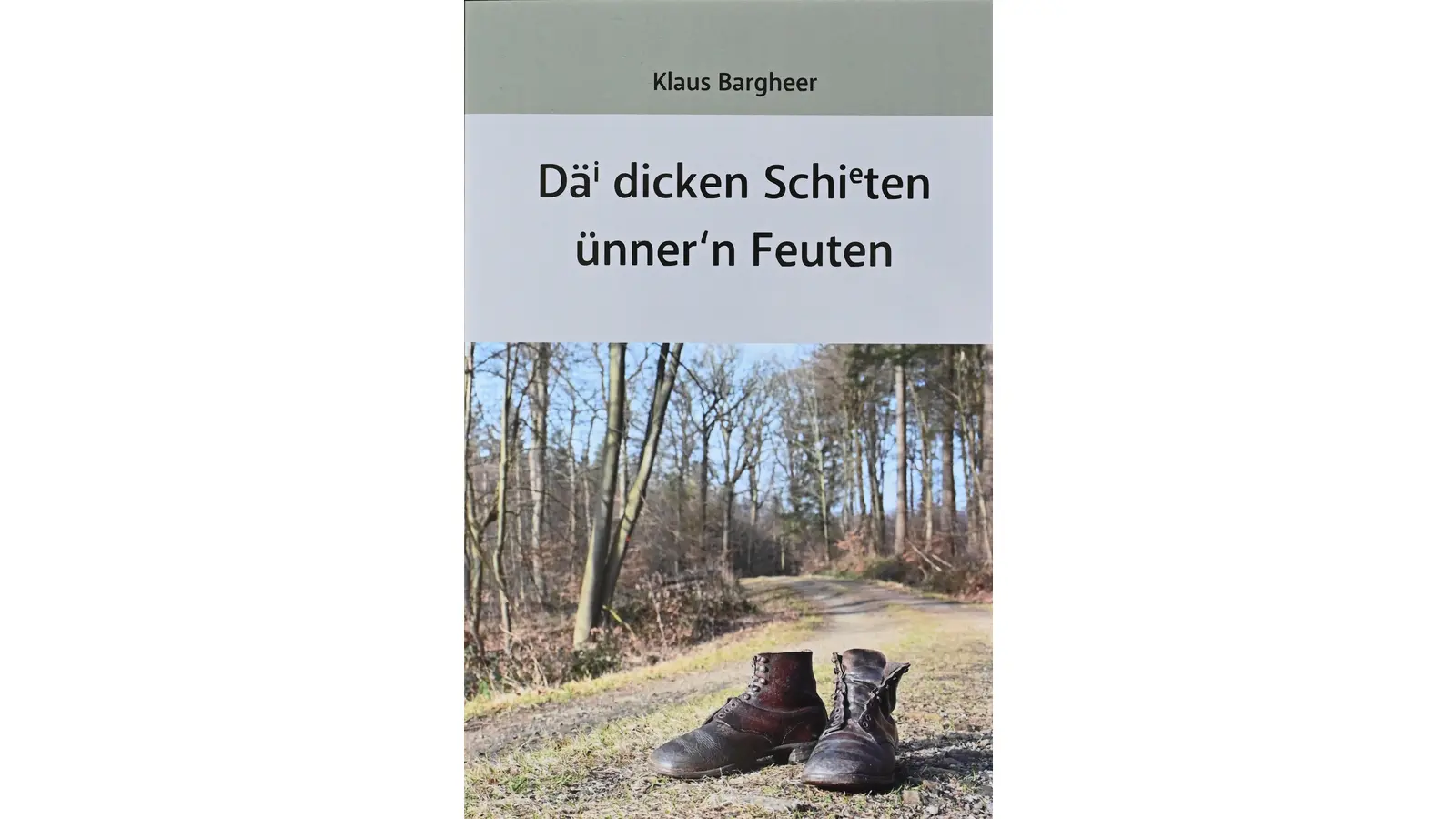 Das Buchcover des ungewöhnlichen Plattdeutschen Geschichtbandes. (Foto: privat)