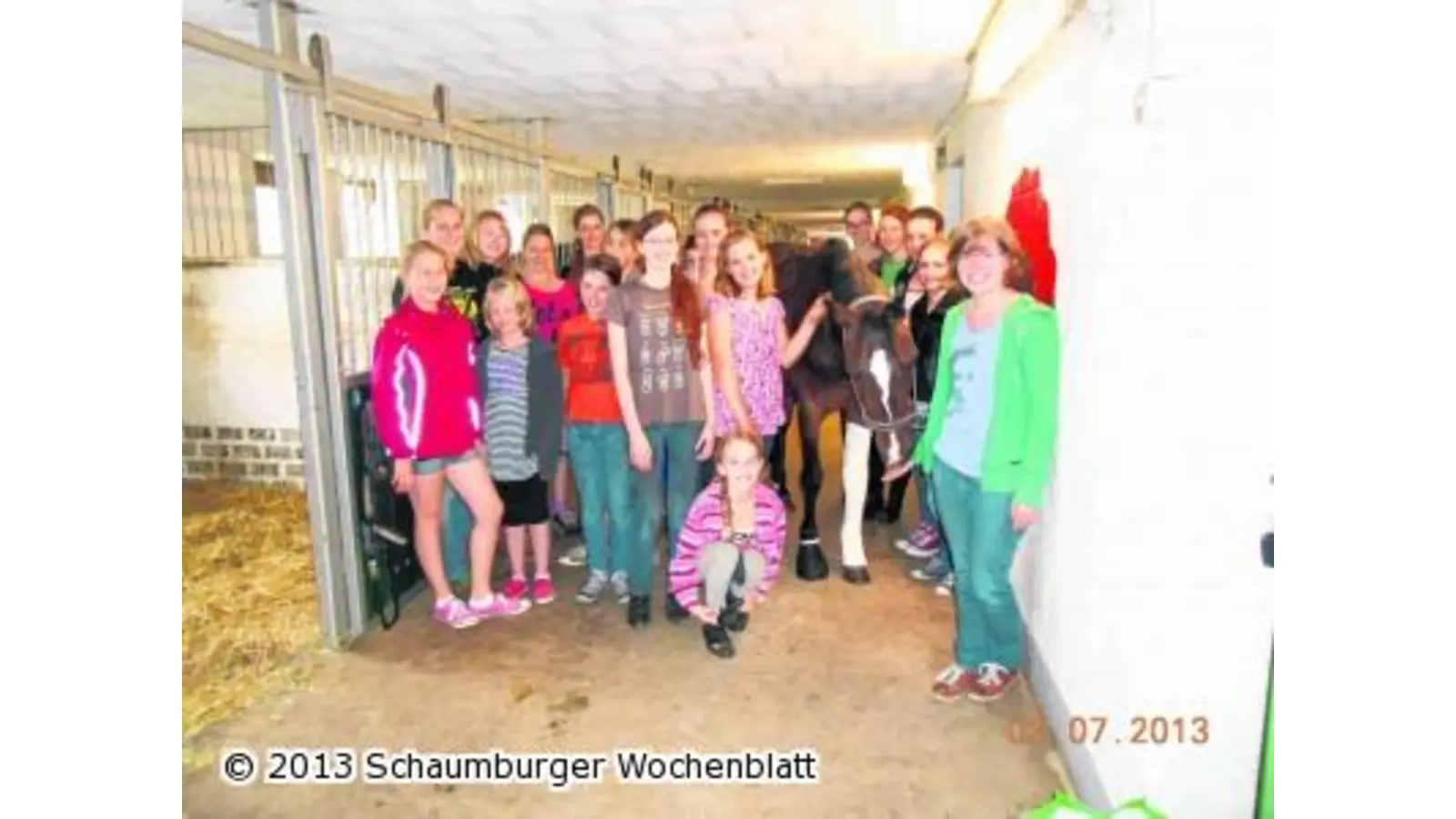 Am Pferd den Puls fühlen (Foto: em)