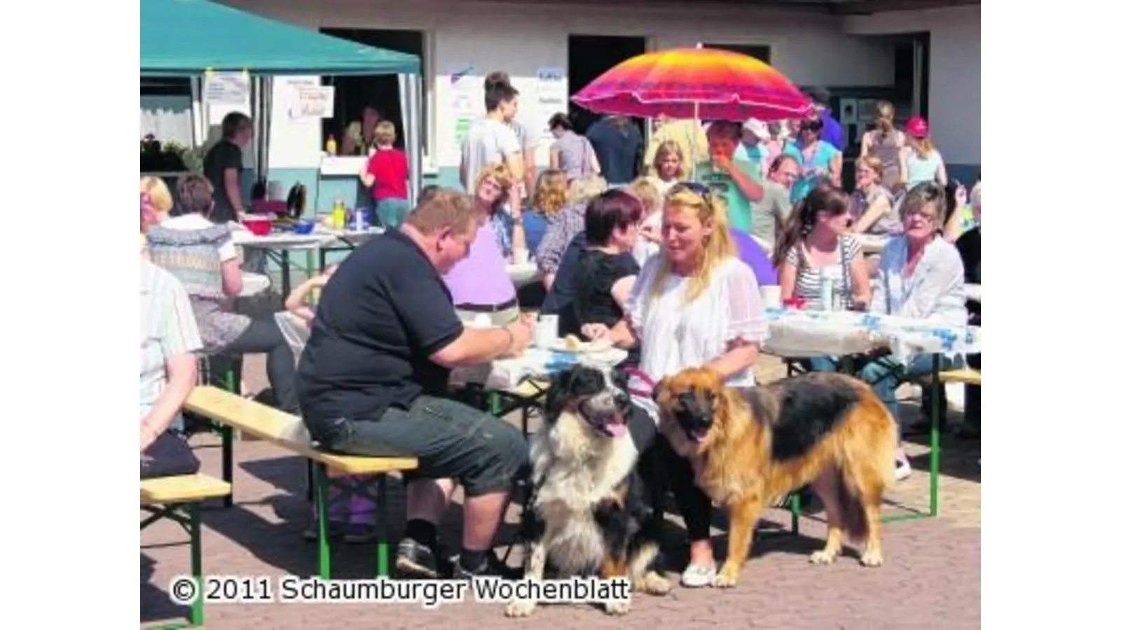 Ein Rieseninteresse an der Arbeit der Tierschützer (Foto: hb)