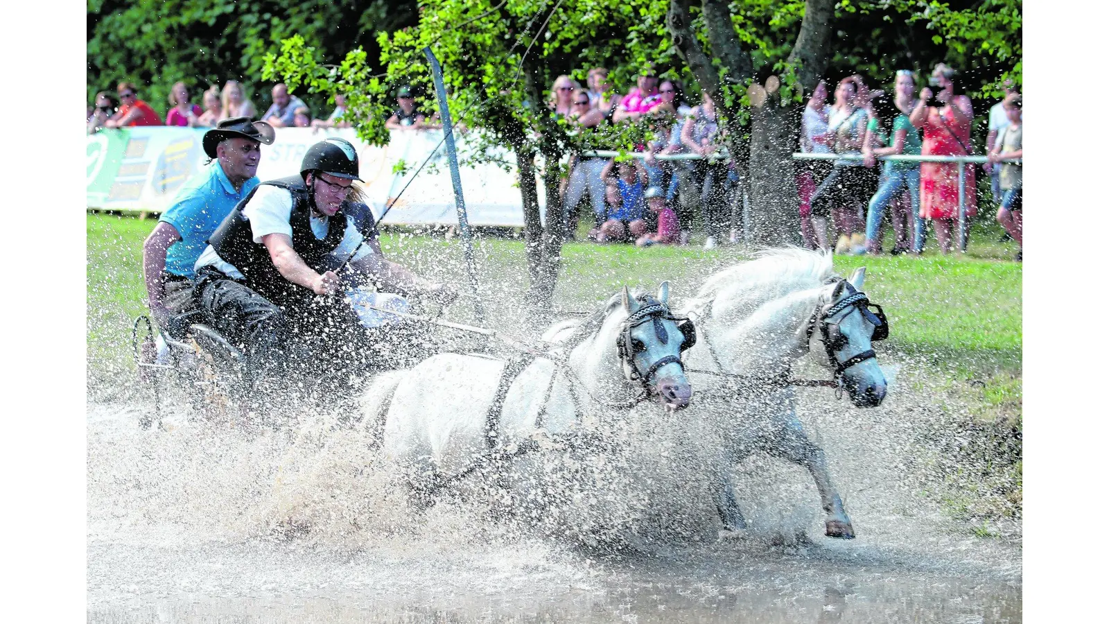 Hohe Sprünge und anmutige Bewegungen (Foto: red)