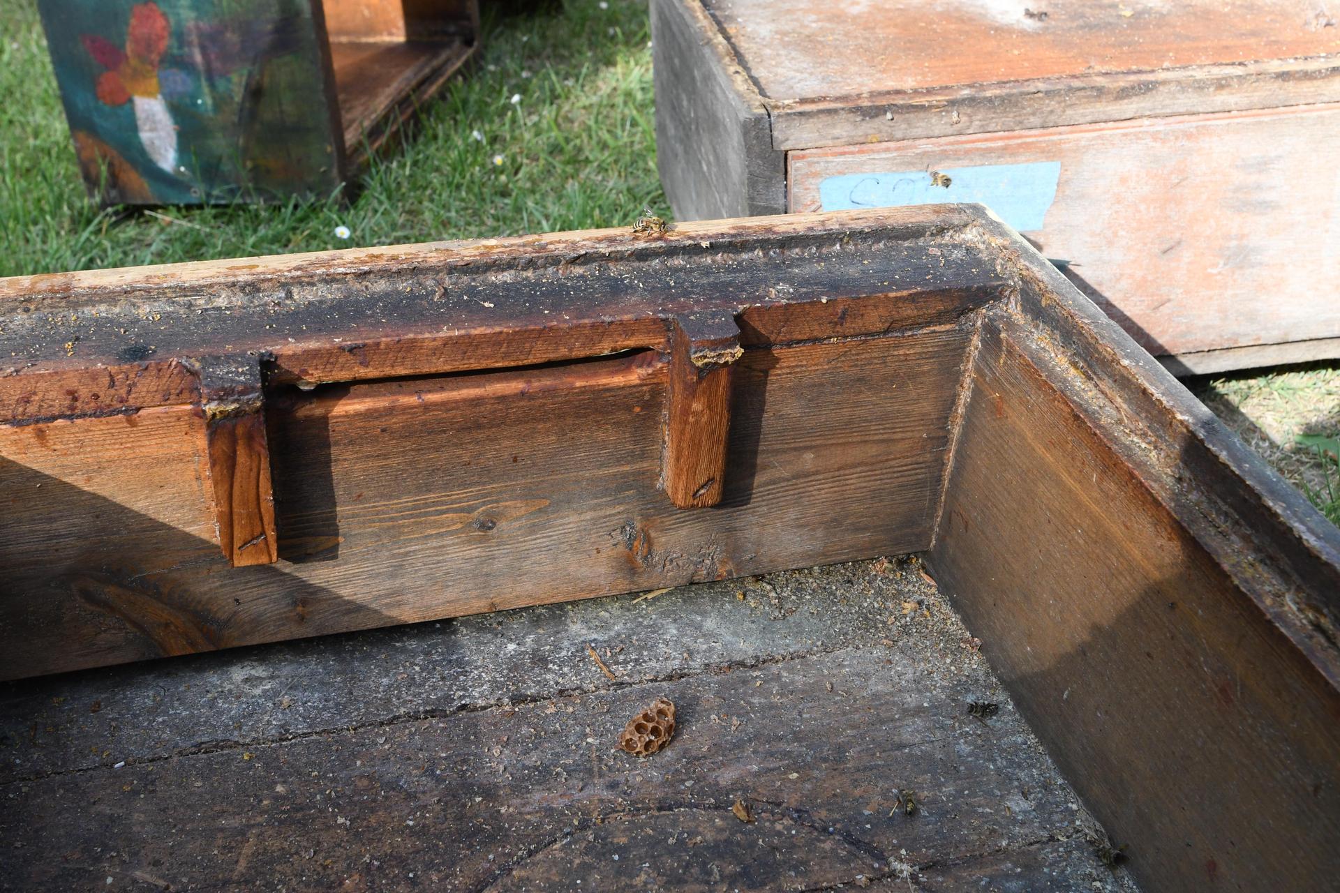 Am Bienenhaus. (Foto: nd)