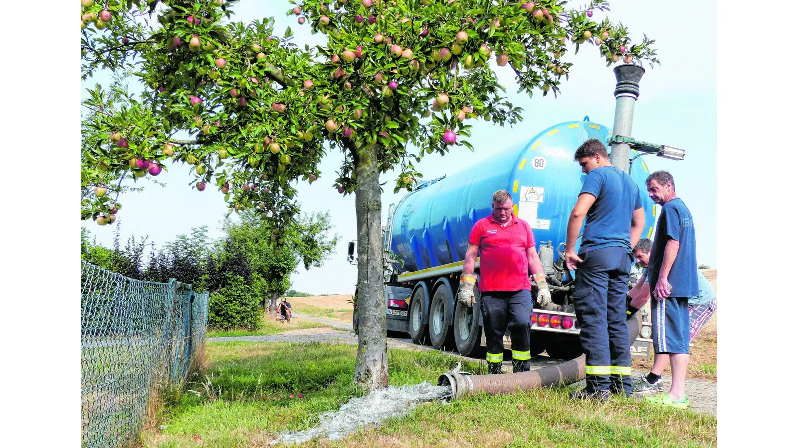 Die Reste gehen an die Bäume (Foto: al)