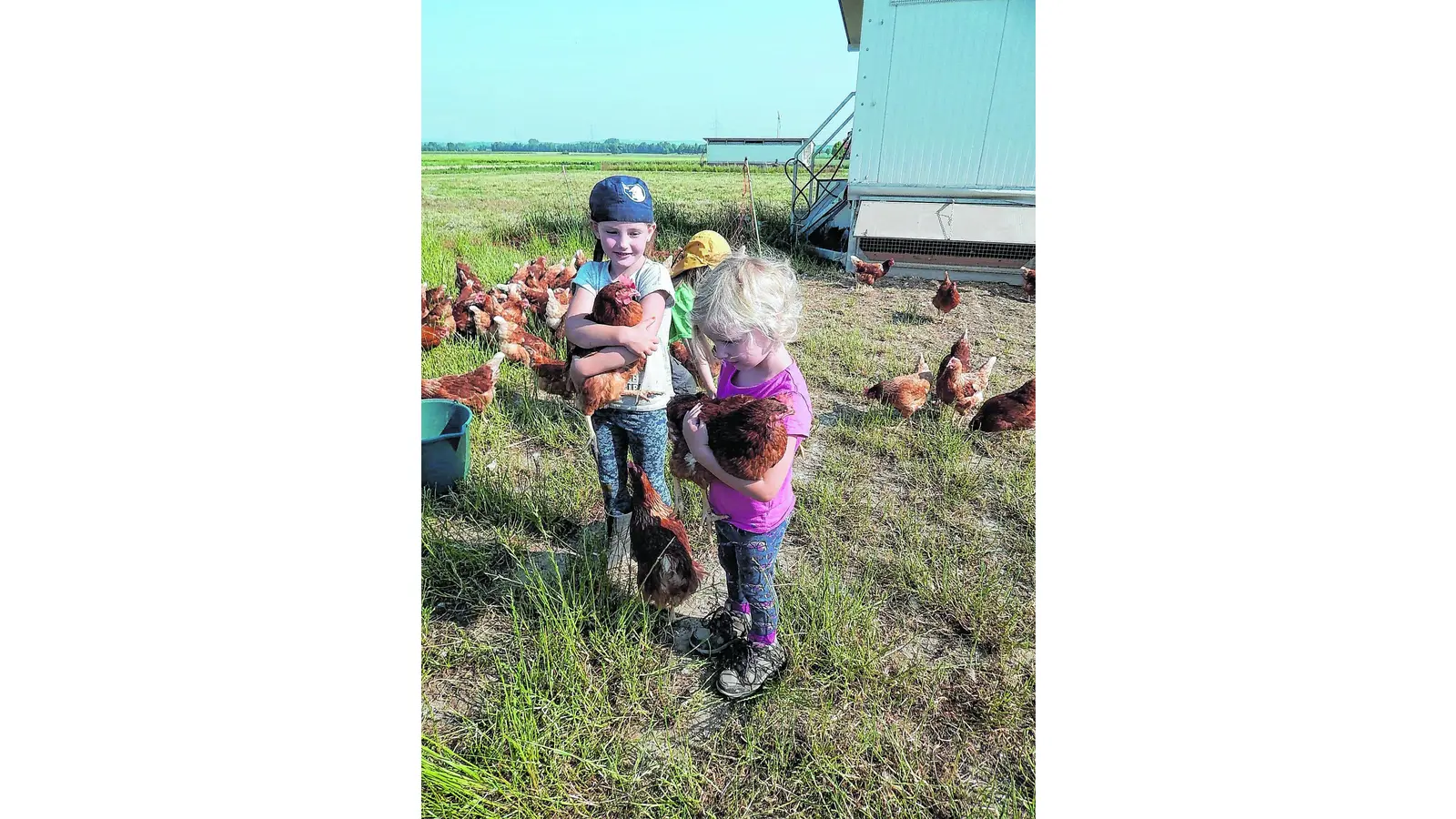 Spannendes rund um Huhn und Ei entdeckt (Foto: mk)