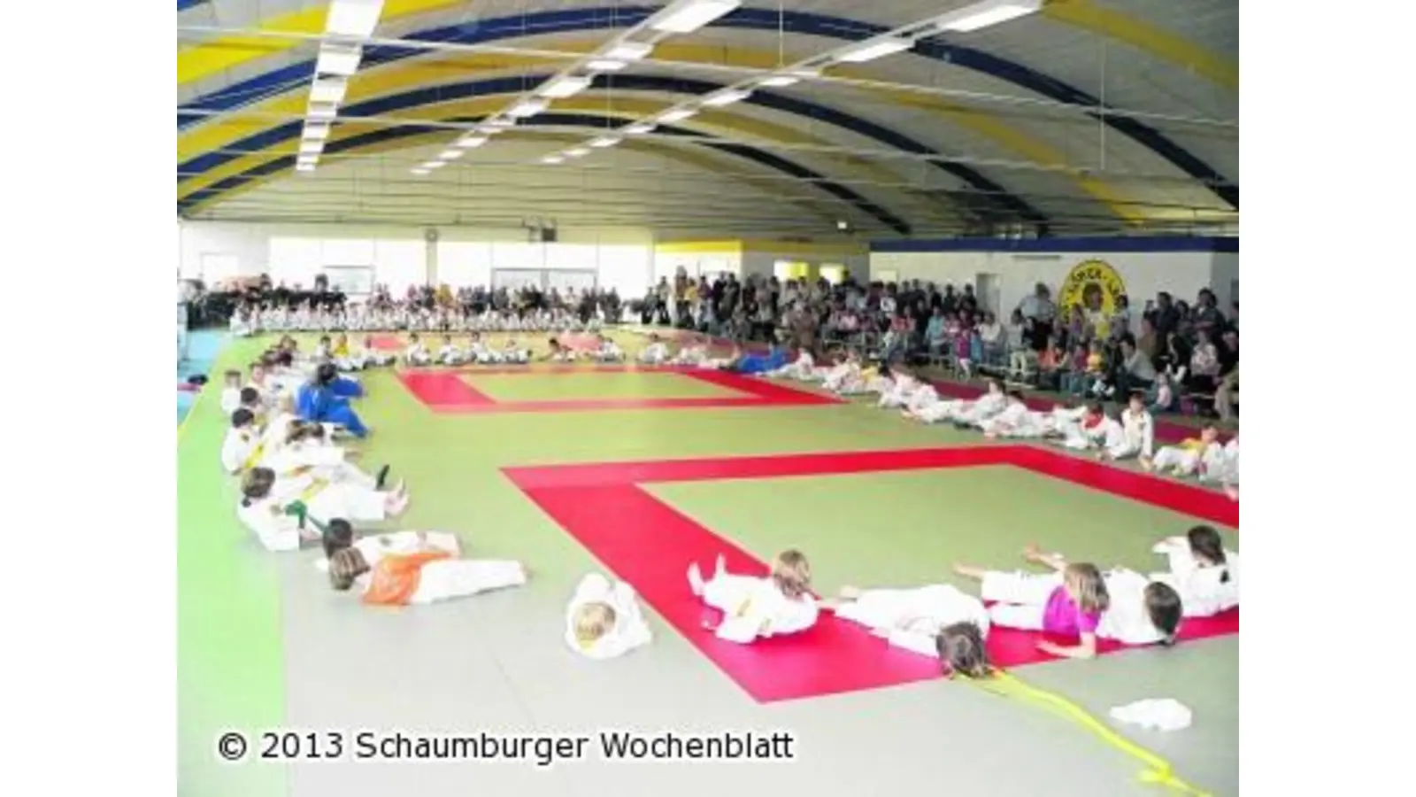Verband lobt Lauenauer Judoka (Foto: al)