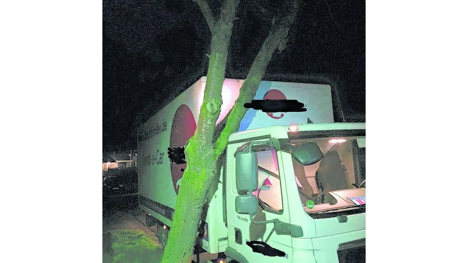 Baum setzt Lkw fest (Foto: red)