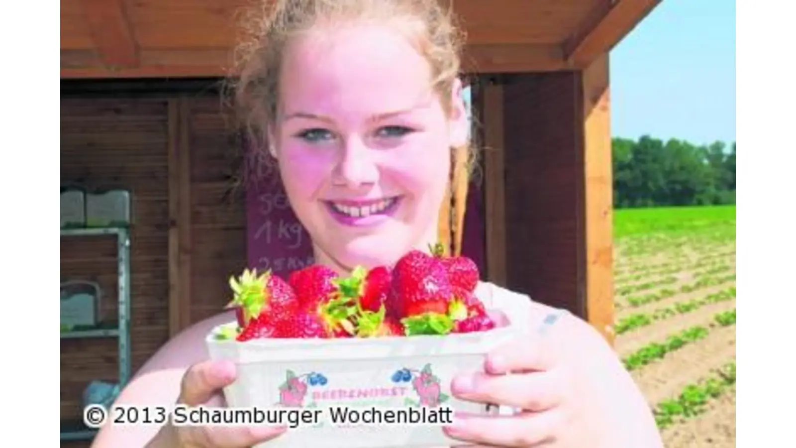 Vom heimischen Erdbeerfeld geht es auf die grüne Insel (Foto: wa)