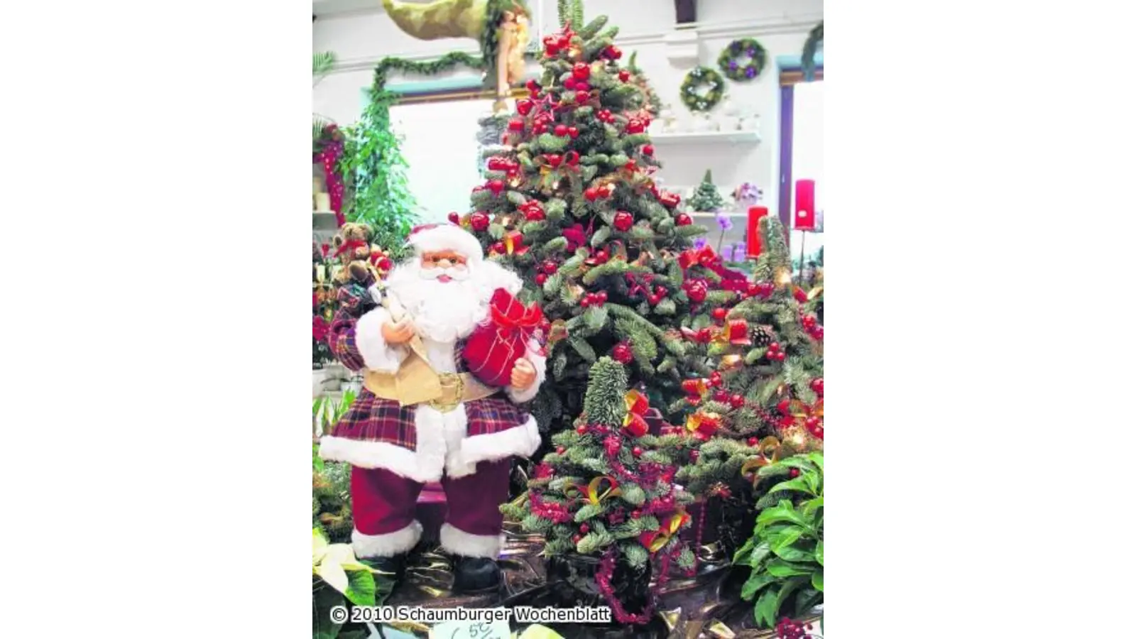 Paten für Weihnachtsgeschenke gesucht (Foto: ste)