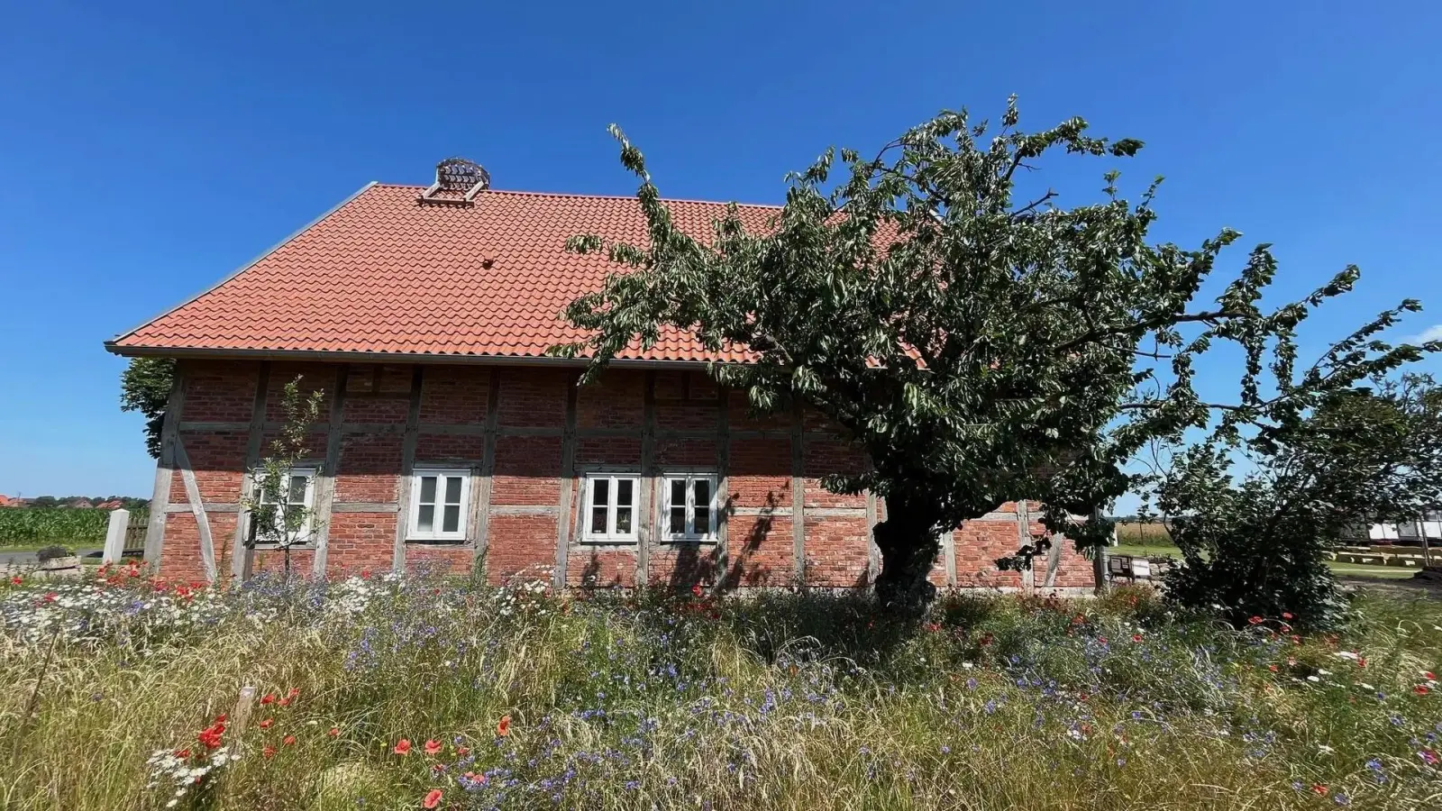 Dorfentwicklung: Das sanierte Bauernhaus Im Dorfe 6 in Seggebruch. (Foto: nd)