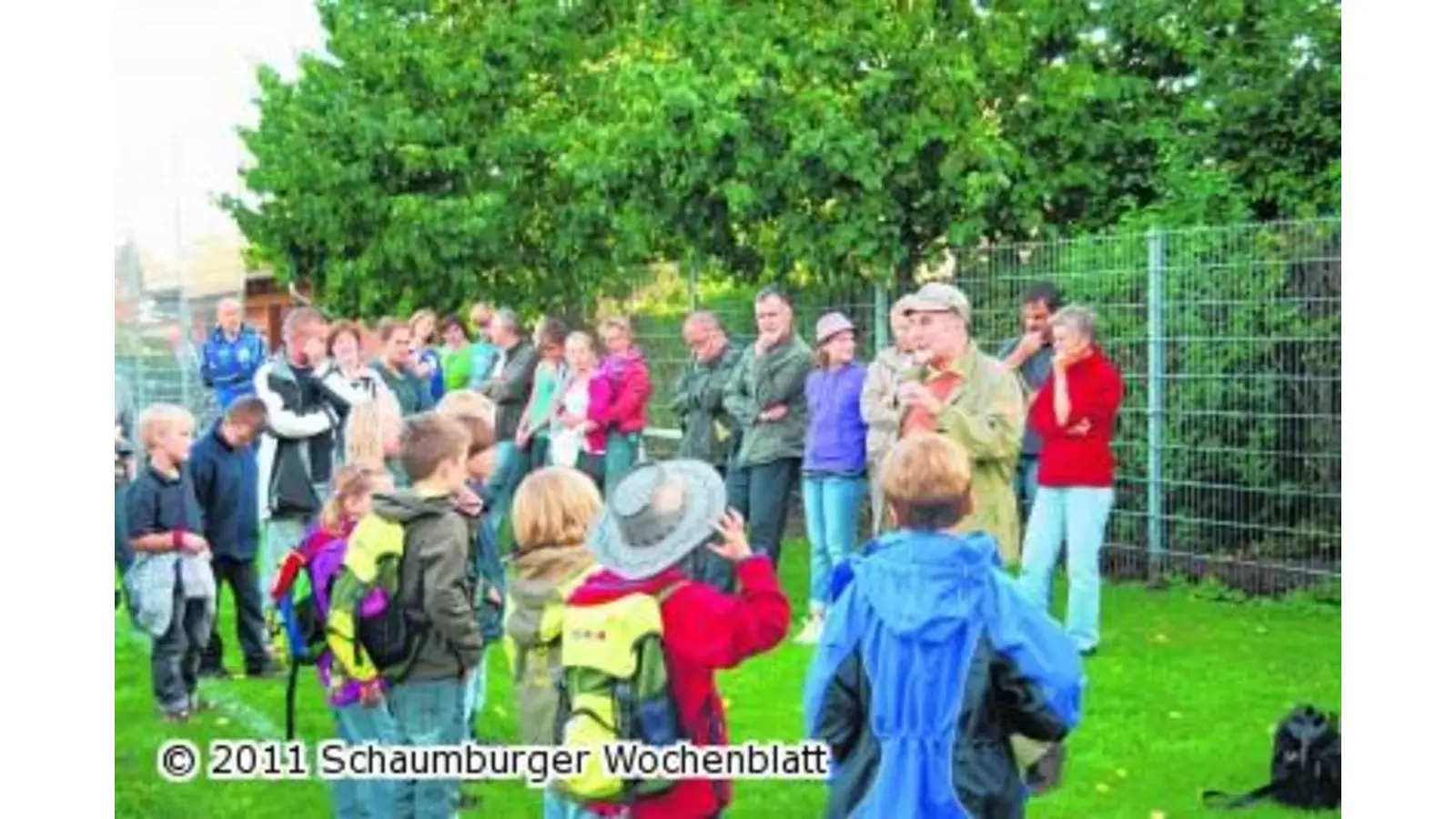 Fledermäuse spielen nachts die Hauptrolle (Foto: red)