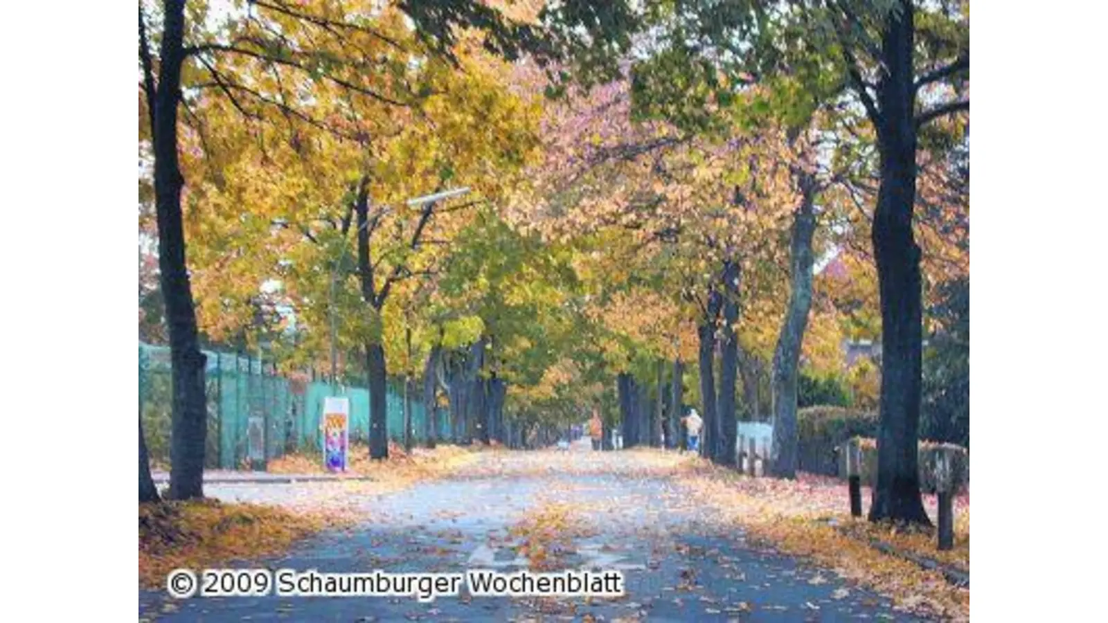Herbstliche Pracht mit Rutsch-Gefahr (Foto: red)