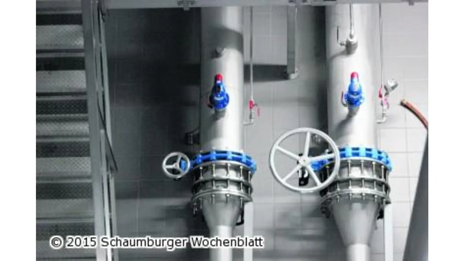 Ein guter Grund zum Feiern (Foto: red)