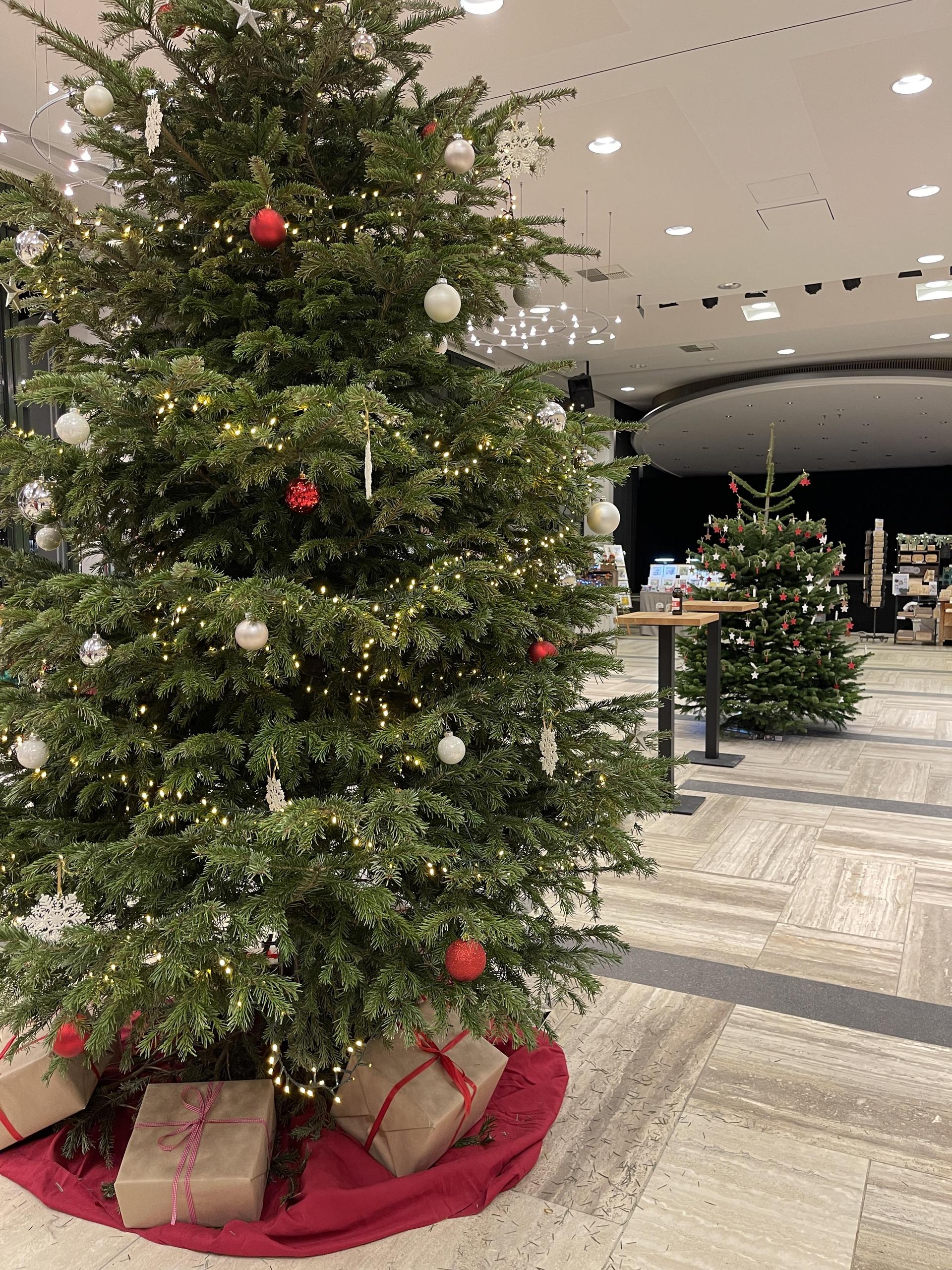 Bad Nenndorf 2025 (Foto: nd)