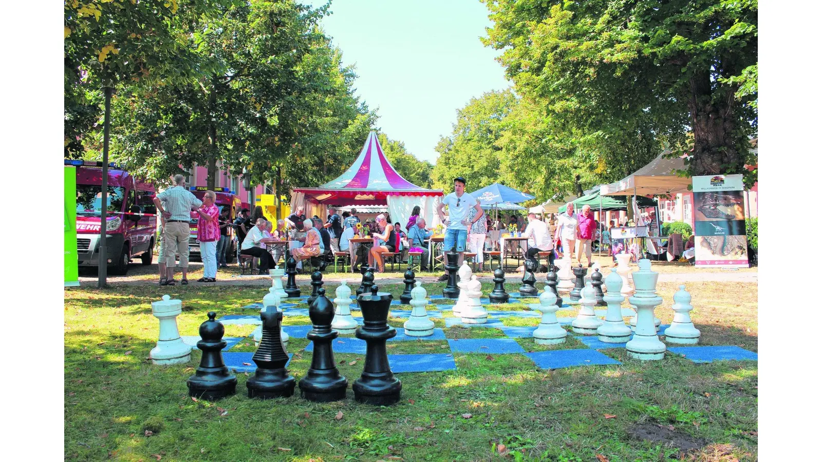 Schattenplätze bevorzugt (Foto: jan)
