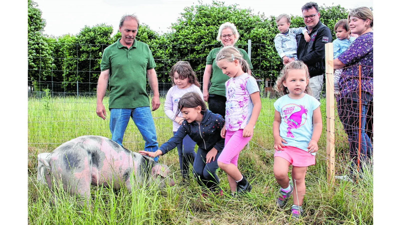 Artgerechte Tierhaltung transparent gemacht (Foto: pp)