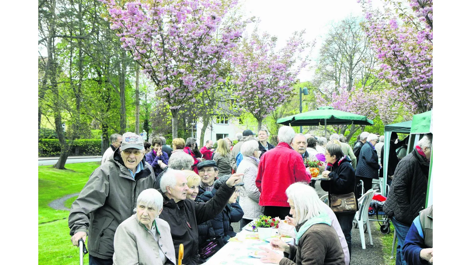 Blütenpracht bei Kaffee und Kuchen genießen (Foto: bb)