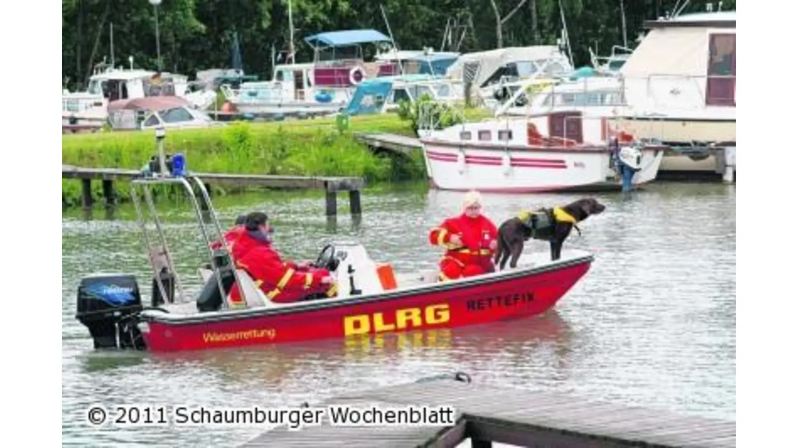 Labradorrüde Bailey unterstützt die Retter (Foto: mk)