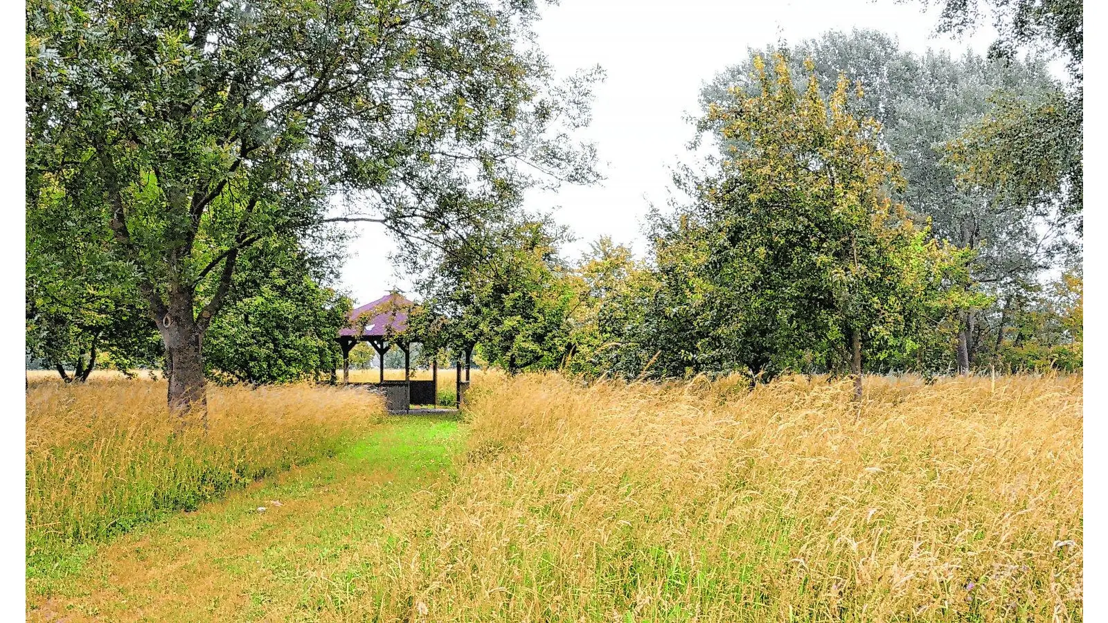 Jemand muss den Hut aufhaben (Foto: red)