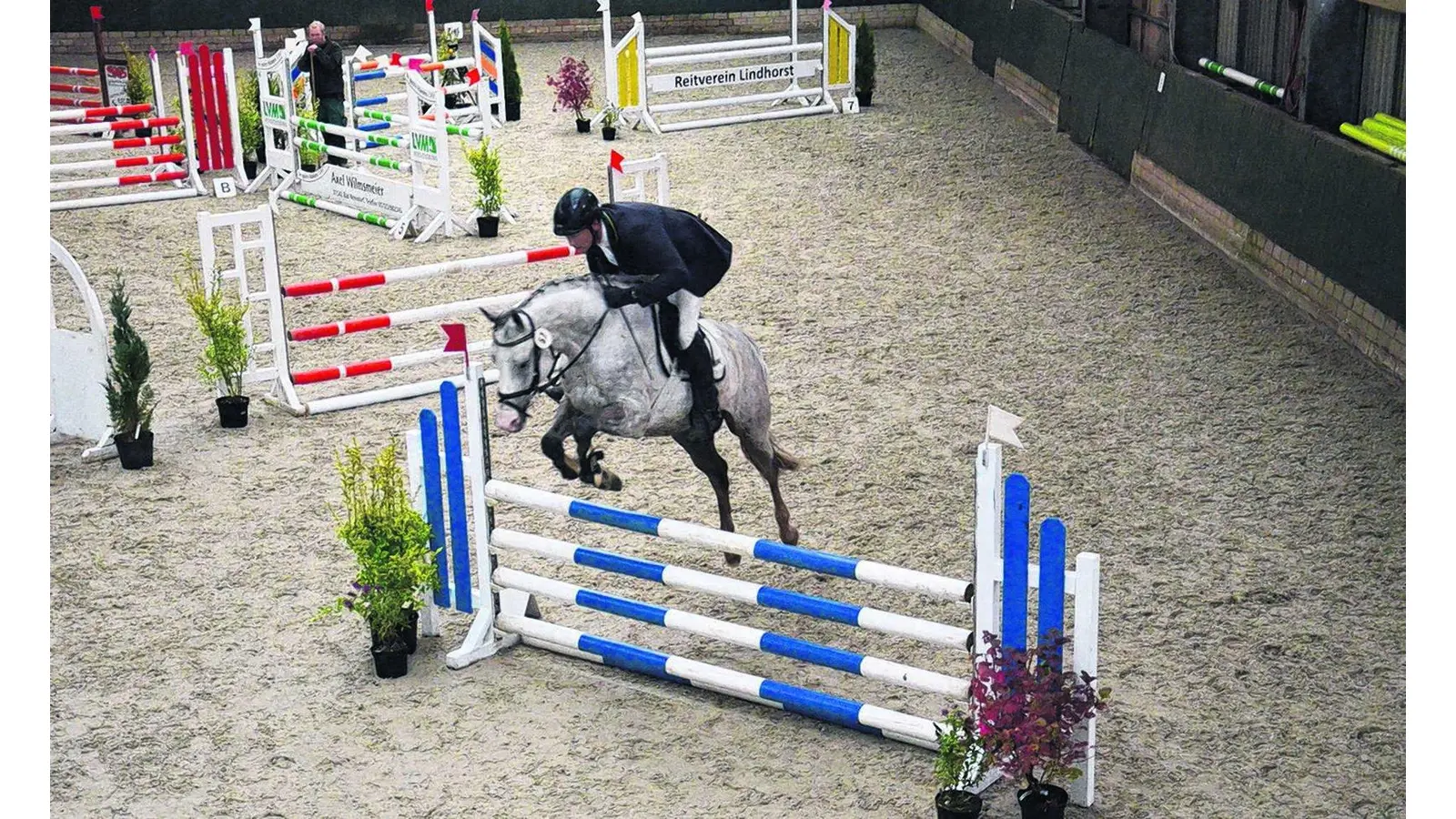 Dreitägiges Reitturnier mit Prüfungen bis Klasse L (Foto: bt)
