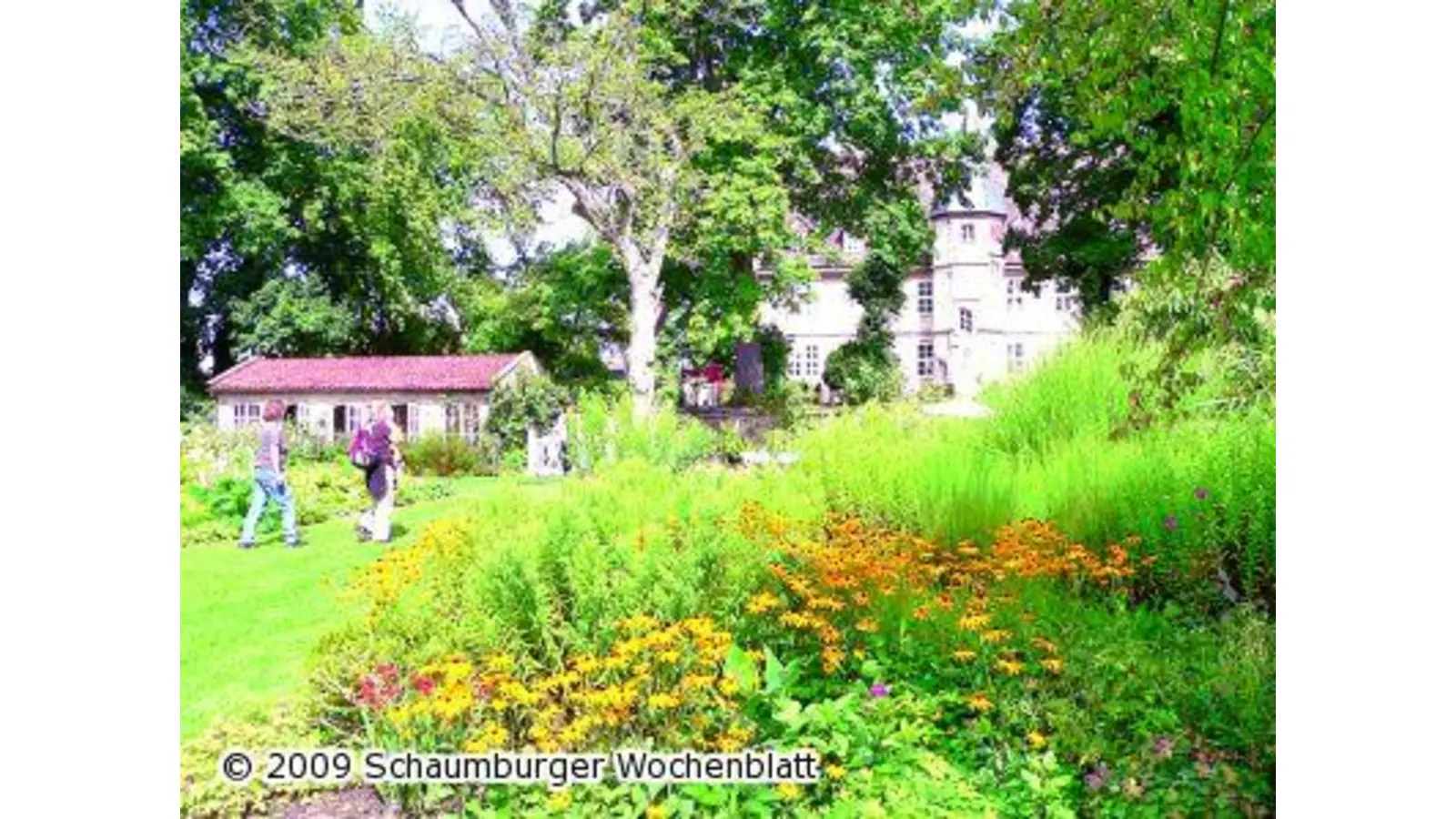 Über 5000 Stauden vor alten Bäumen (Foto: al)