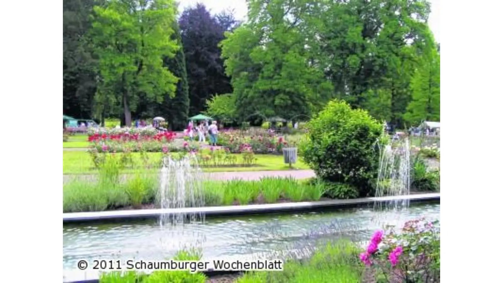 Kurparkfest mit Rosenblütenduft (Foto: red)