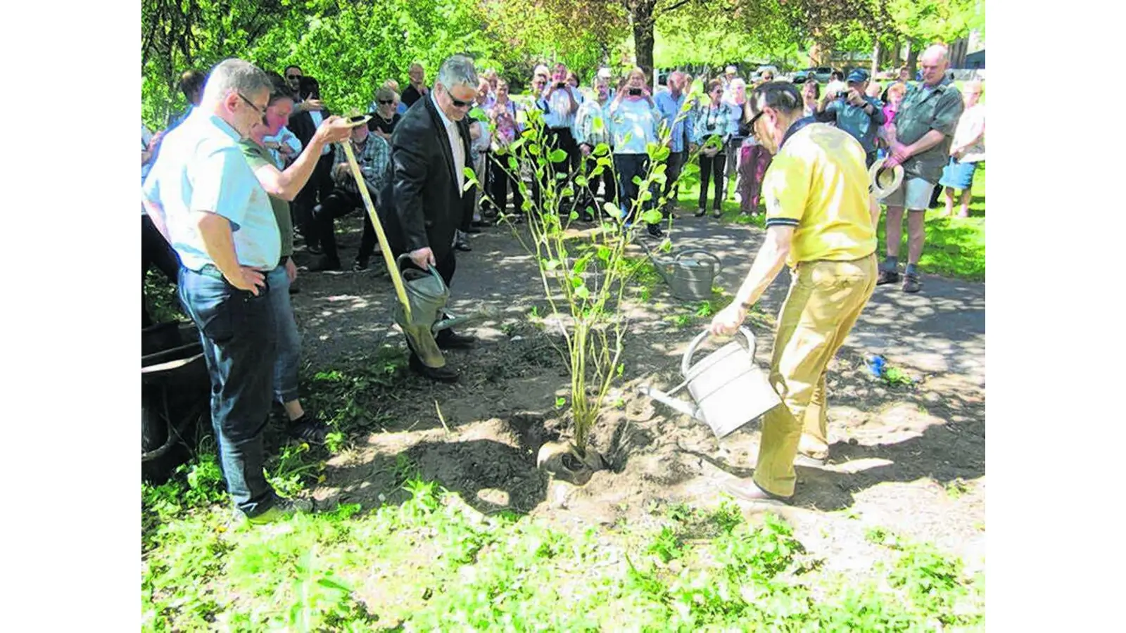 Ein Baum der Freundschaft gepflanzt (Foto: gr)