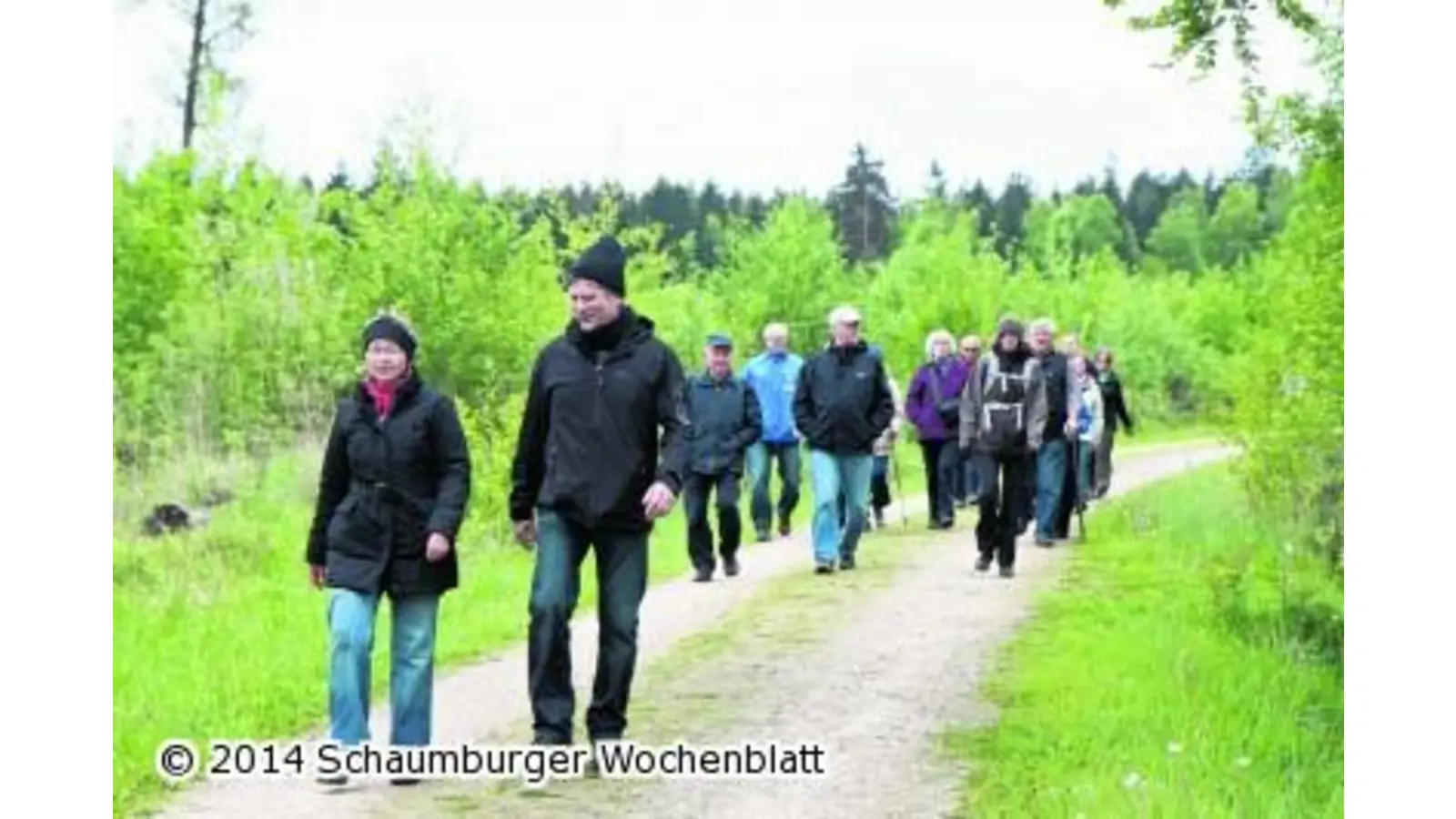 Wandertag lockt Hunderte in den Bückeberg (Foto: bb)