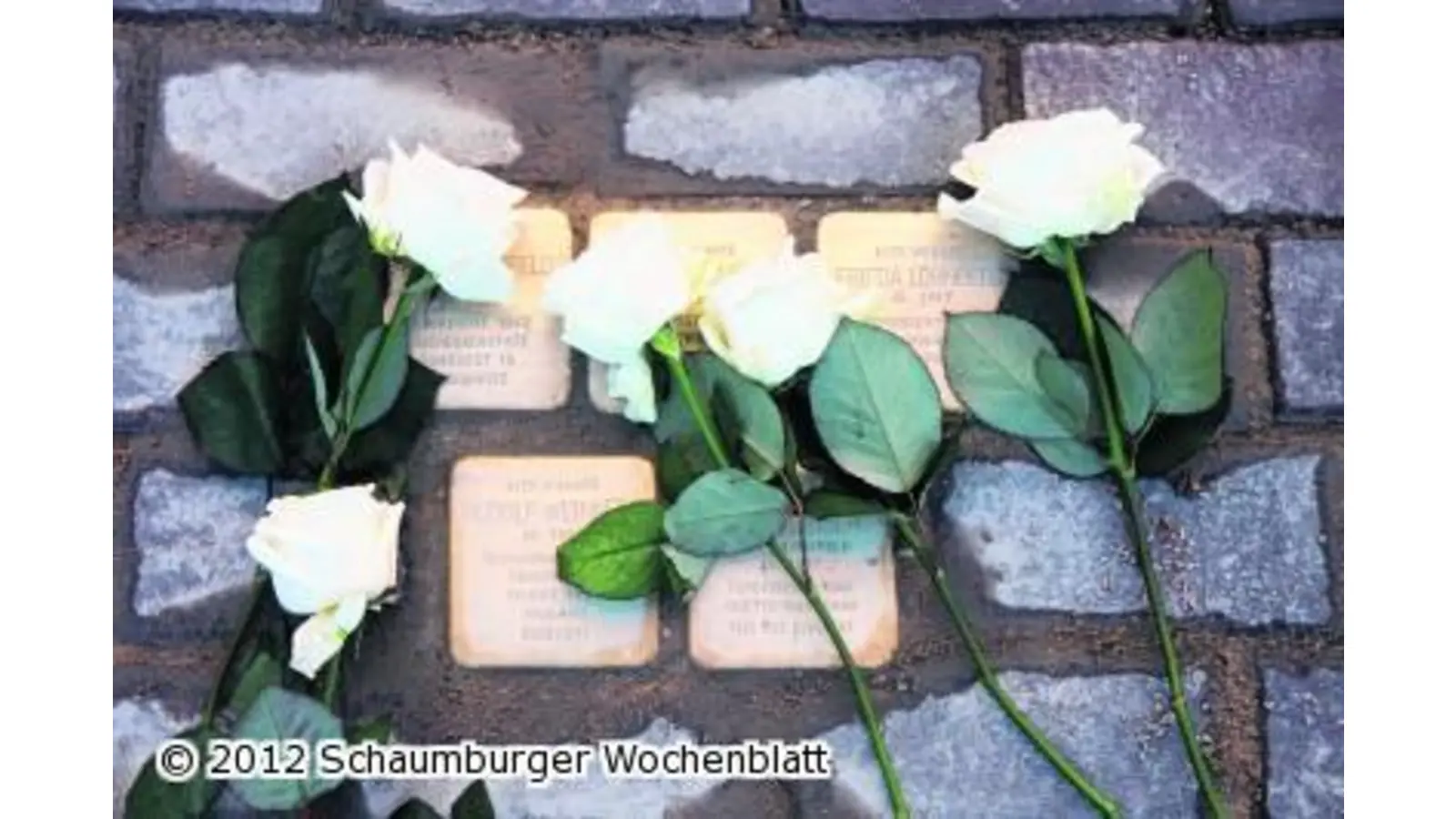 Stolpersteine setzen Zeichen der Erinnerung (Foto: bb)