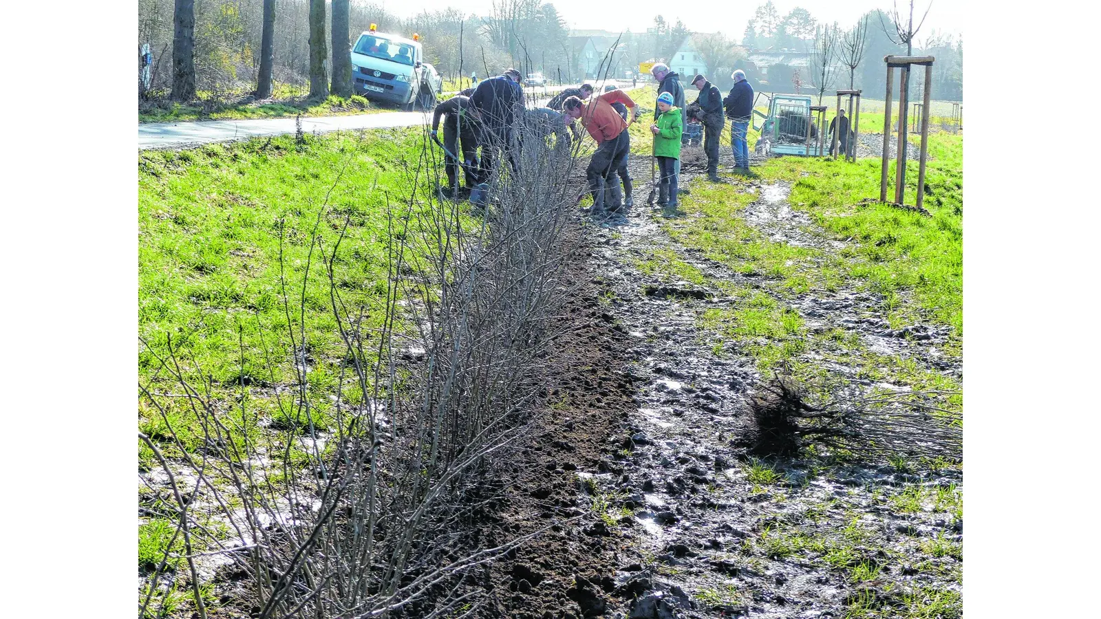 Weißdorn soll künftig die Hunde abschrecken (Foto: al)
