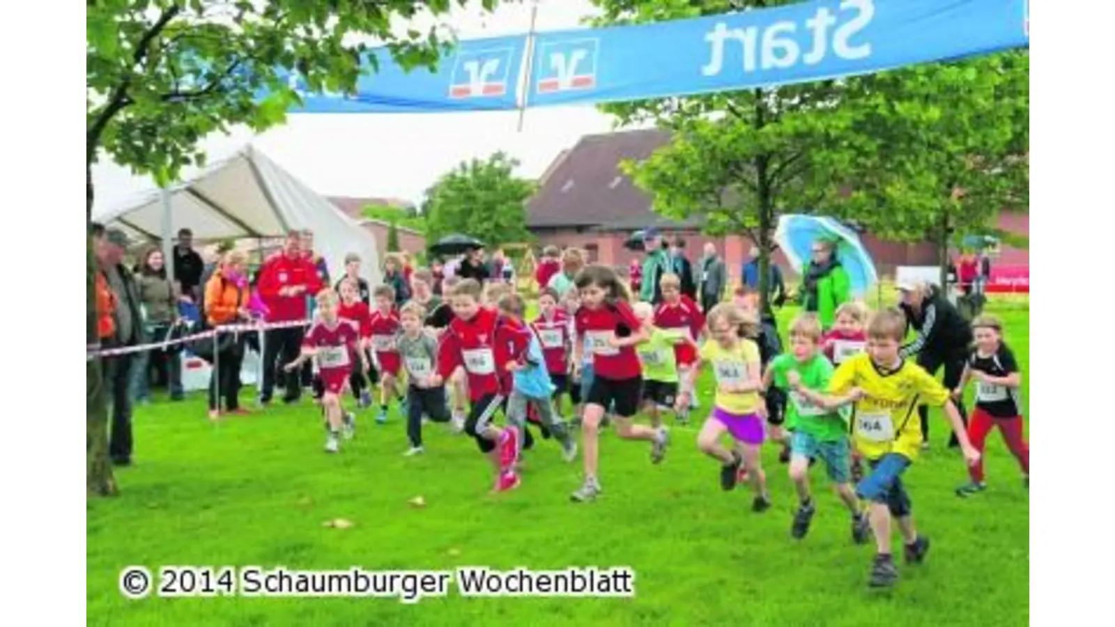 Rund 260 Läufer gehen auf die Strecke (Foto: bb)