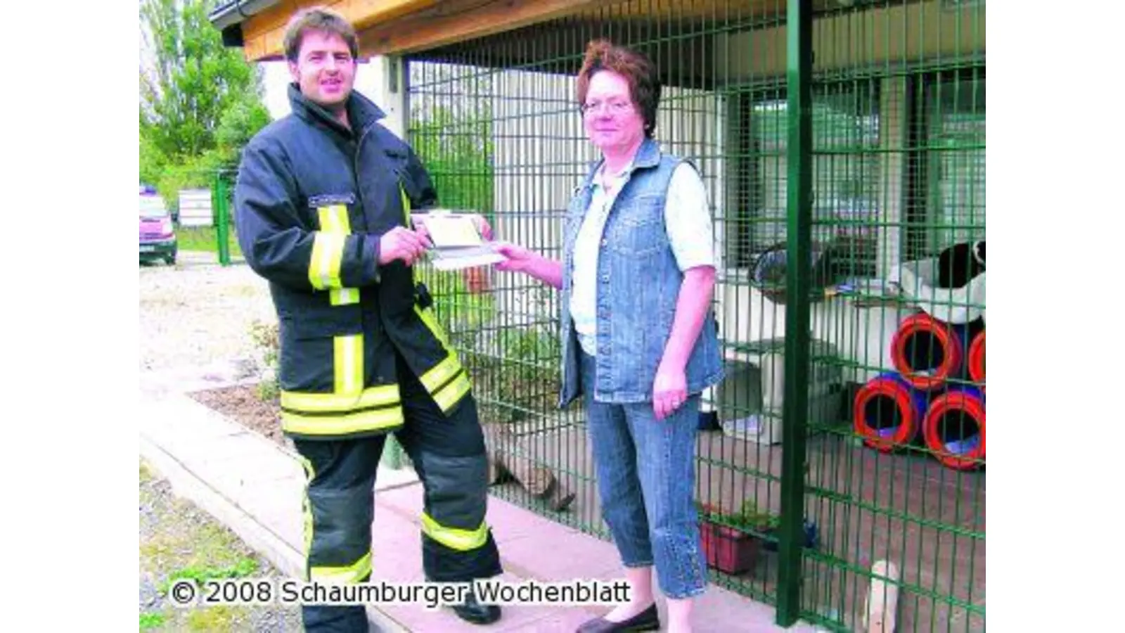 Feuerwehr befreit Katzenkinder (Foto: pd)