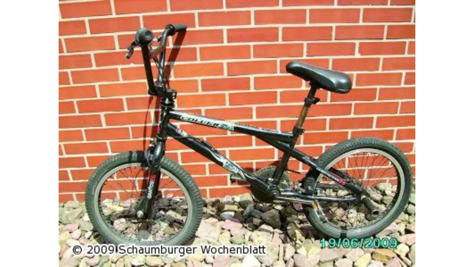 Besitzer gesucht (Foto: mk)