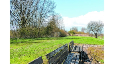 Messenkamp drängt auf einen Kindergarten (Foto: al)