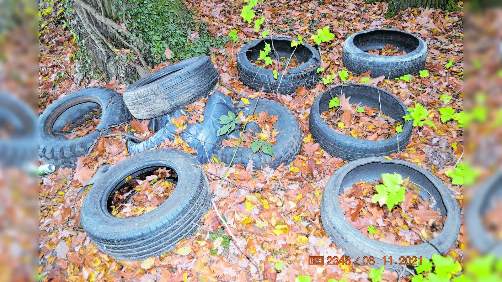 Illegale Müllentsorgung (Foto: red)