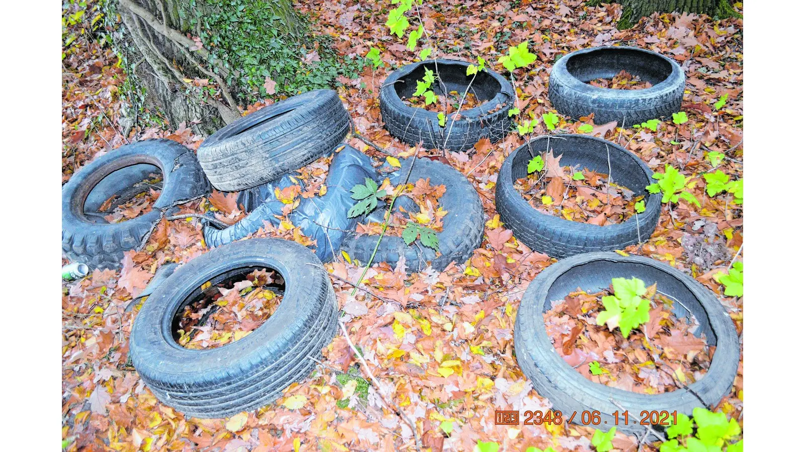 Illegale Müllentsorgung (Foto: red)