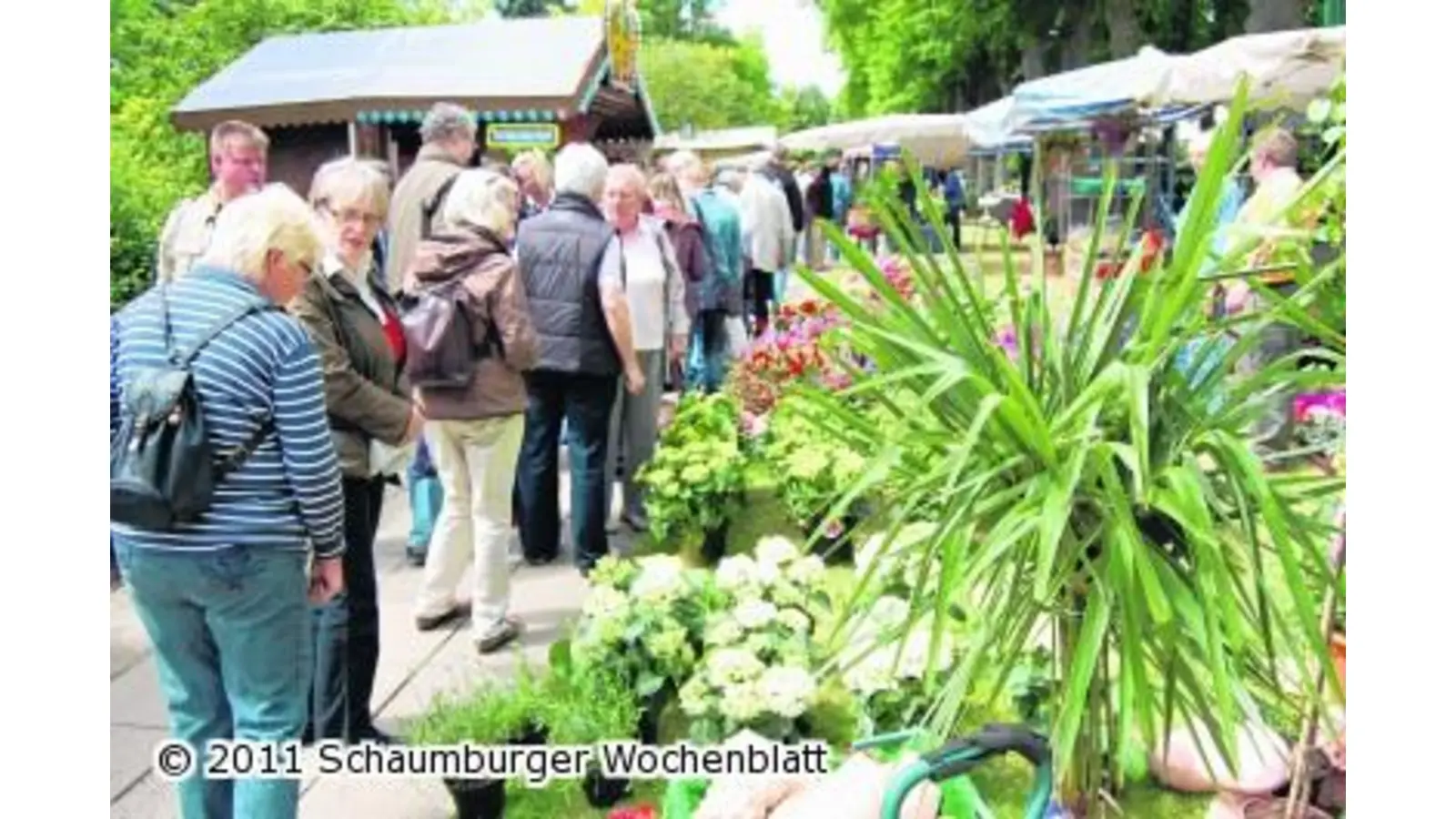 Regionale Produkte gefallen den zahlreichen Besuchern (Foto: red)