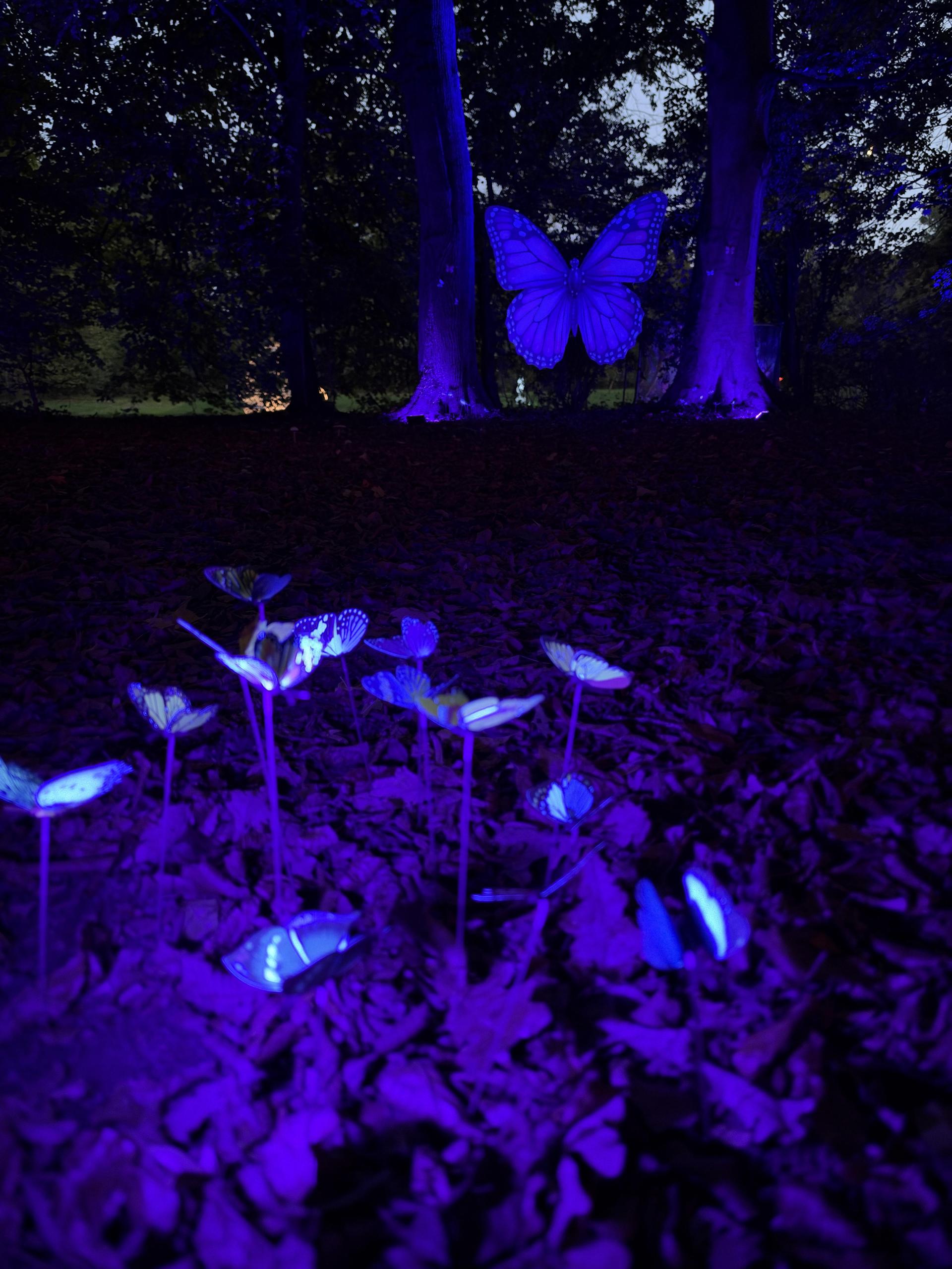MärchenLichter (Foto: nd)