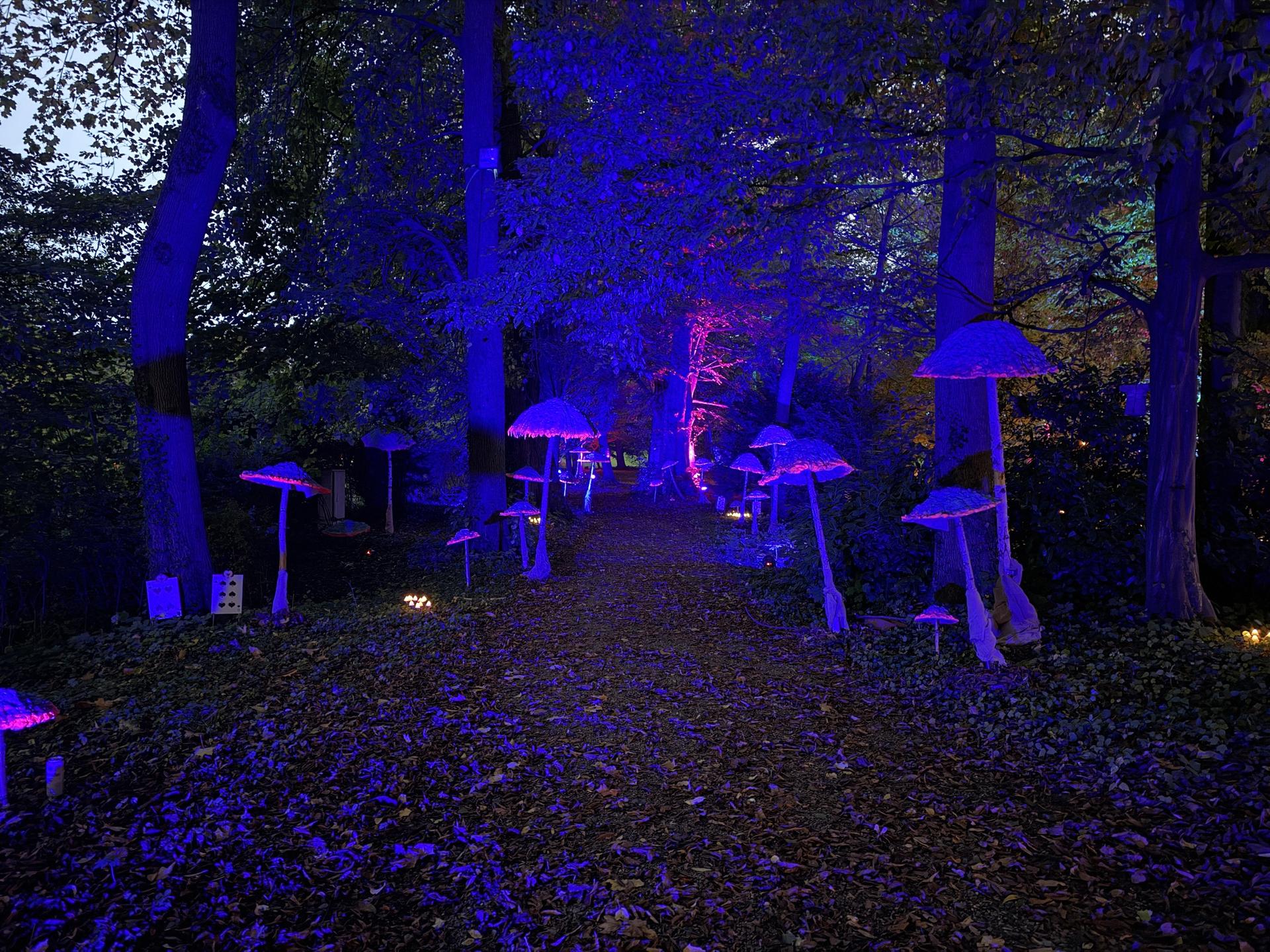 MärchenLichter (Foto: nd)