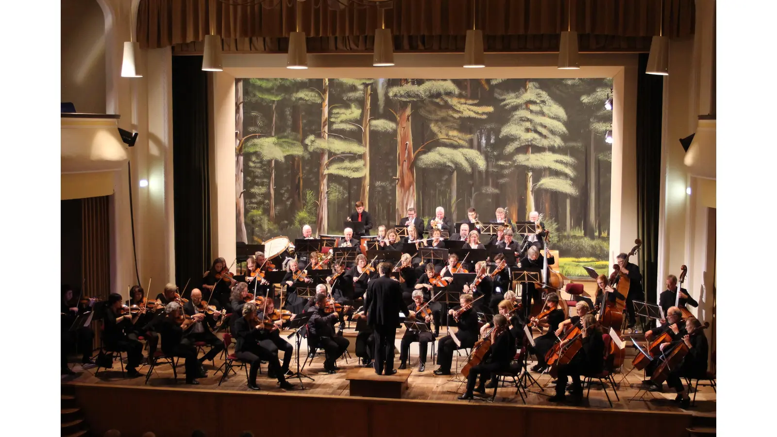 Das Sinfonieorchester der Schaumburger Landschaft tritt am 14. Oktober in Stadthagen und am 15. Oktober in Wennigsen auf. (Foto: privat)