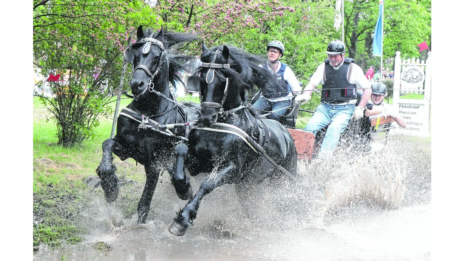 Pferde und Reiter zeigen im Wettkampf Höchstleistungen (Foto: bb)