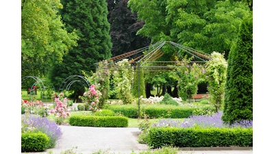 Eine botanische Führung ergibt die Möglichkeit, den Kurpark Bad Eilsen einmal von einer anderen Seite kennen zu lernen.  (Foto: privat)