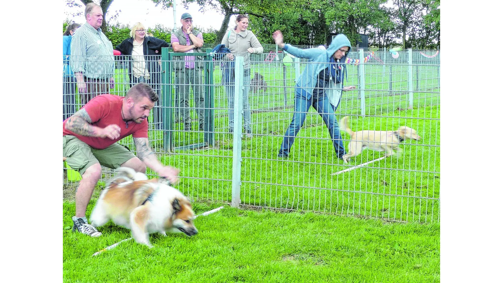 Nach dem Rennen ein Häufchen (Foto: red)
