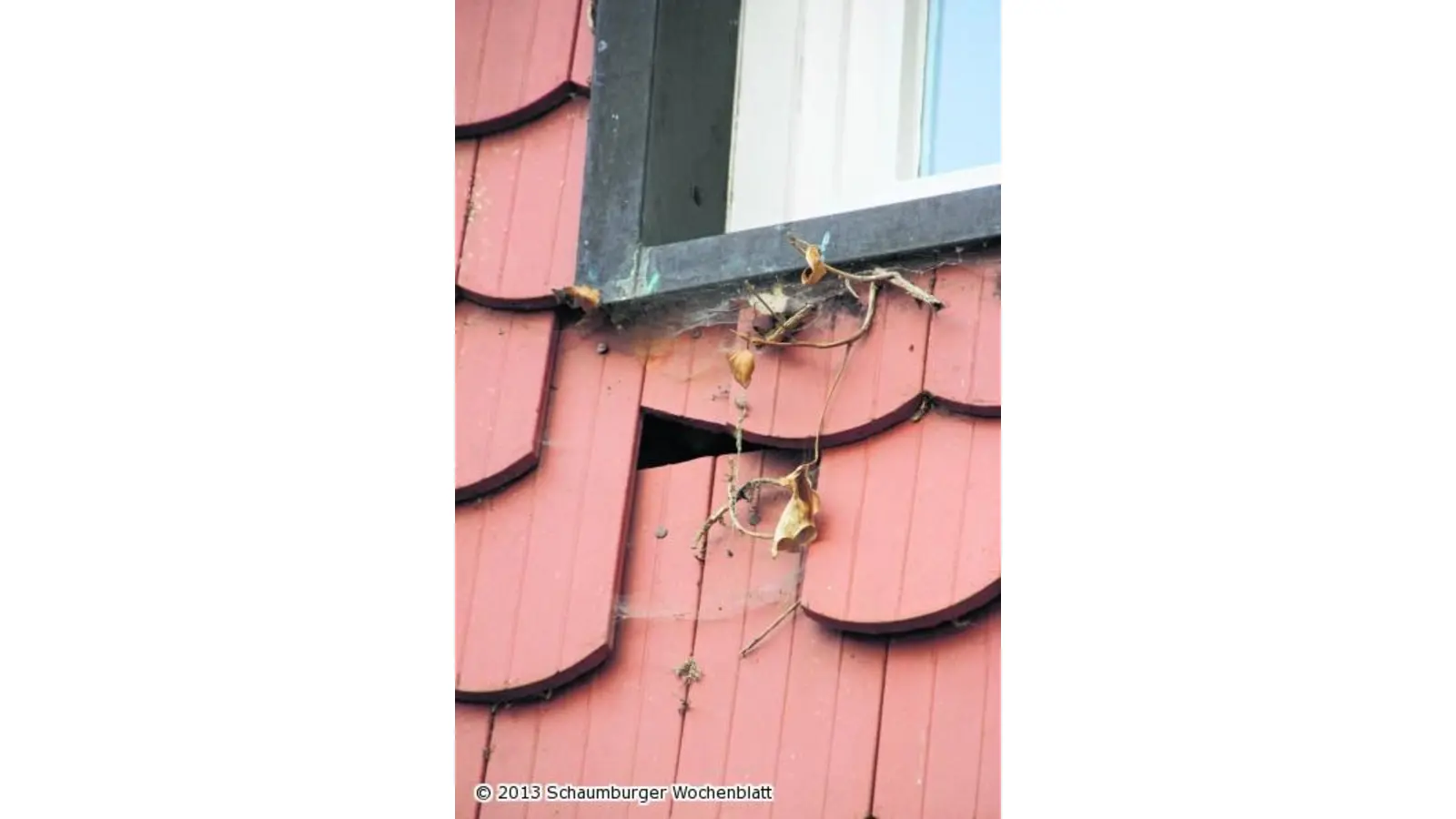 Der Pfarrgarten verwandelt sich in nutzbaren Freiluftraum (Foto: jl)