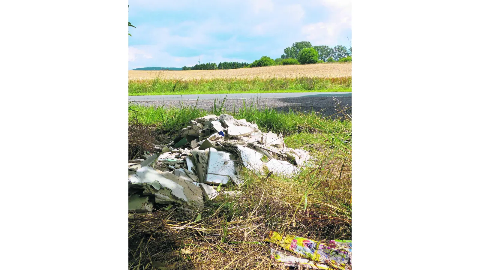 Neuer Müllfrevel bei Messenkamp (Foto: al)